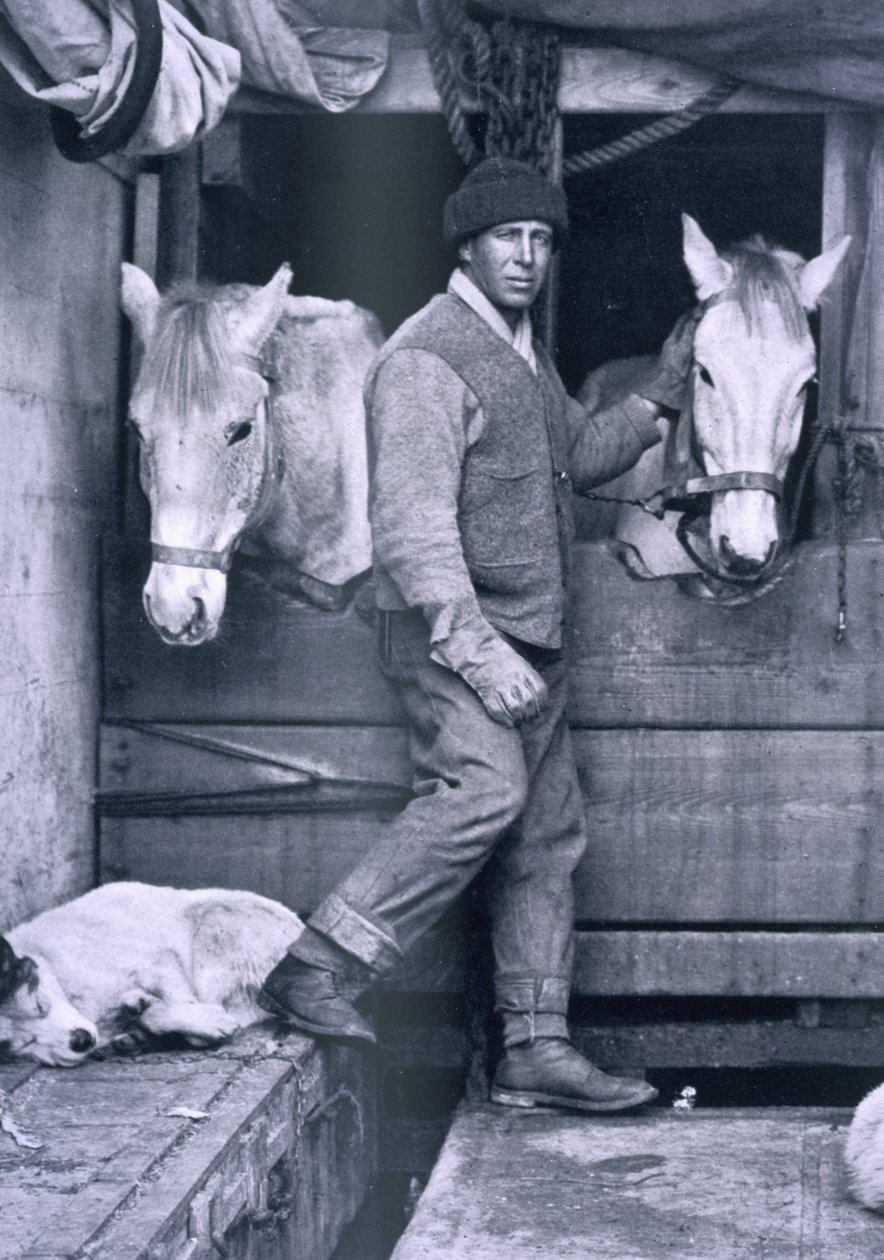 Kapitán Oates a dva poníci na Terra Nova z „Scottovy poslední expedice“ (černobílá fotografie) od Herbert Ponting