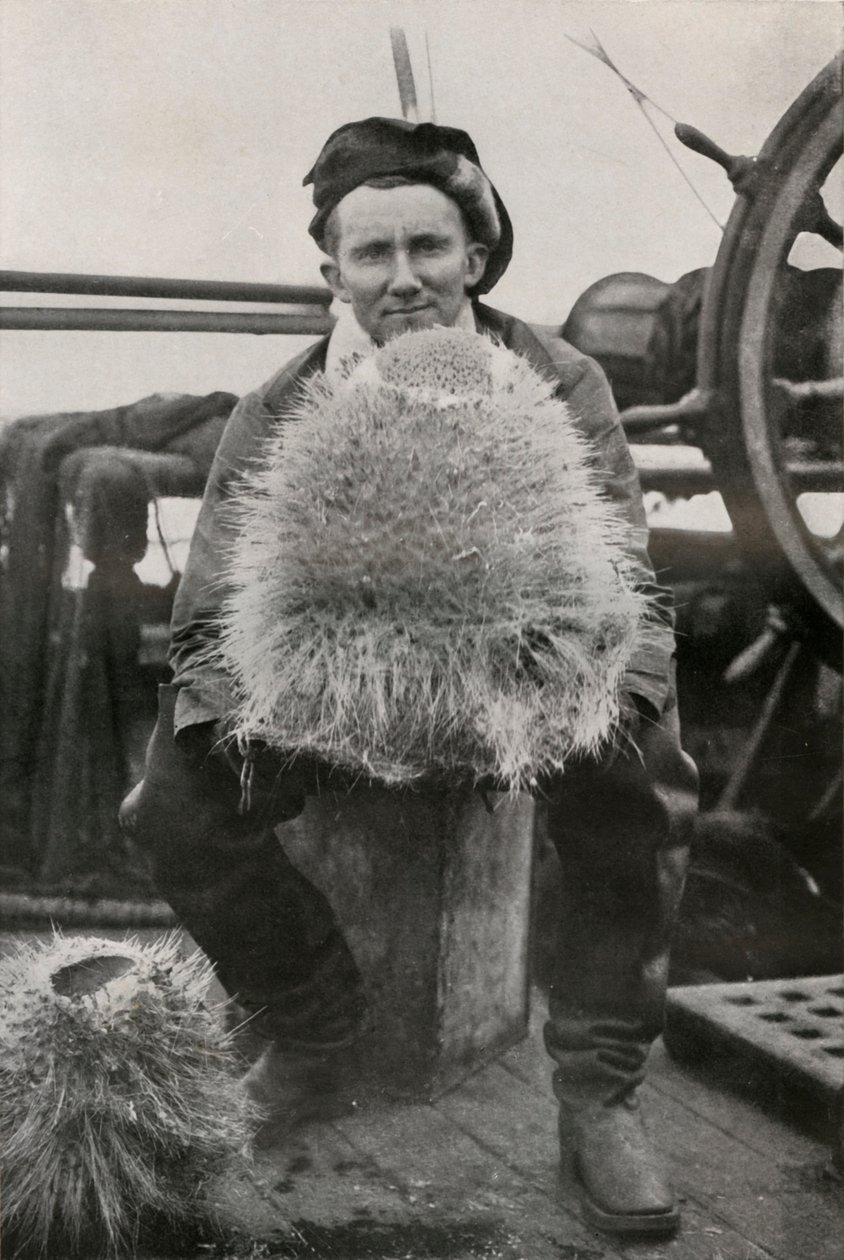 D. G. Lillie, s Some of the Siliceous Sponges, c1911, 1913 od Herbert Ponting