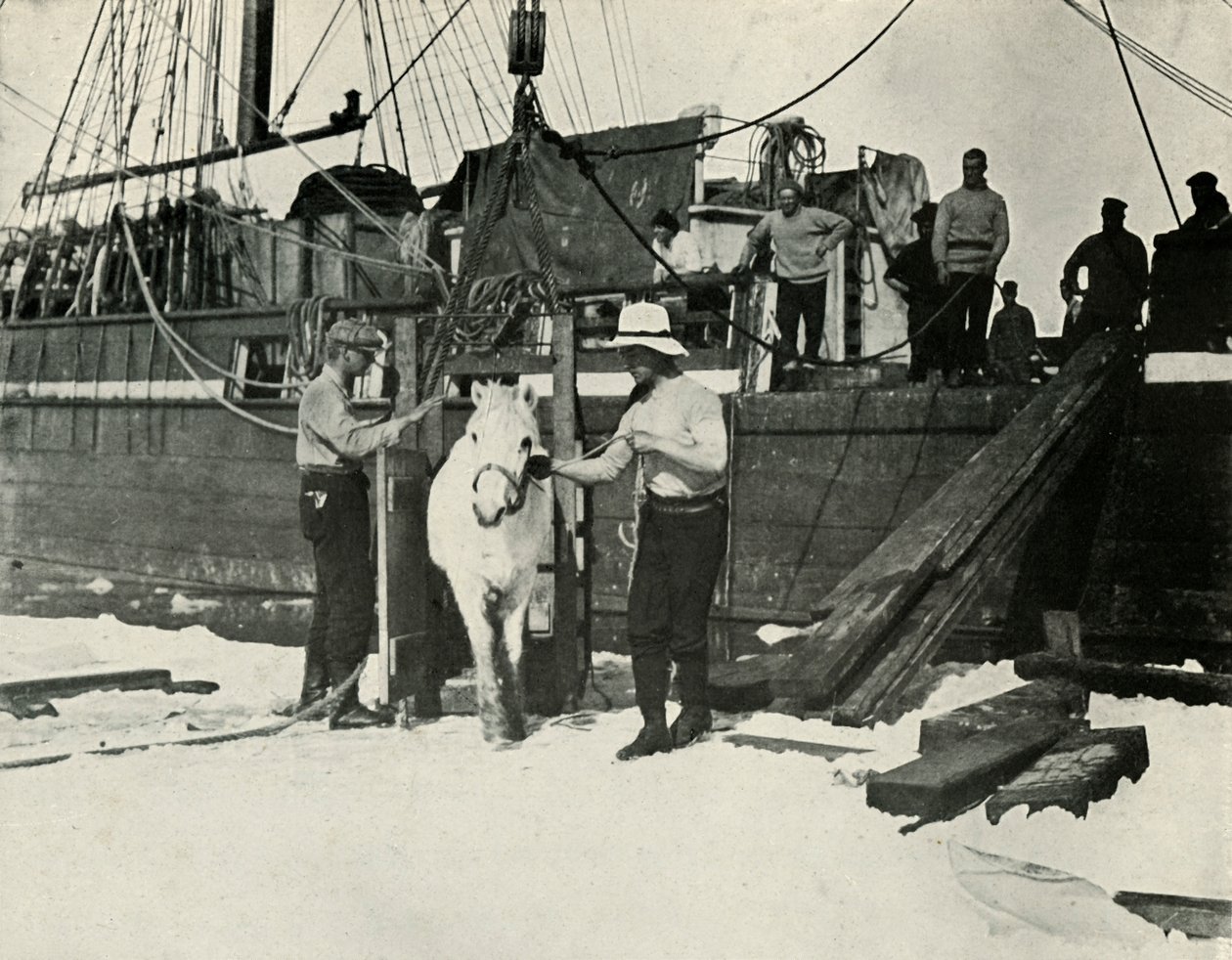 Vylodění poníků, c19101913, 1913 od Herbert Ponting