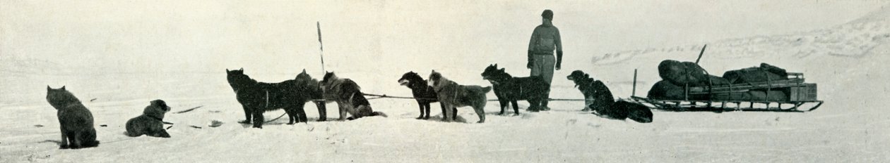 Psi s obchody se chystají opustit Hut Point, c1911, 1913 od Herbert Ponting