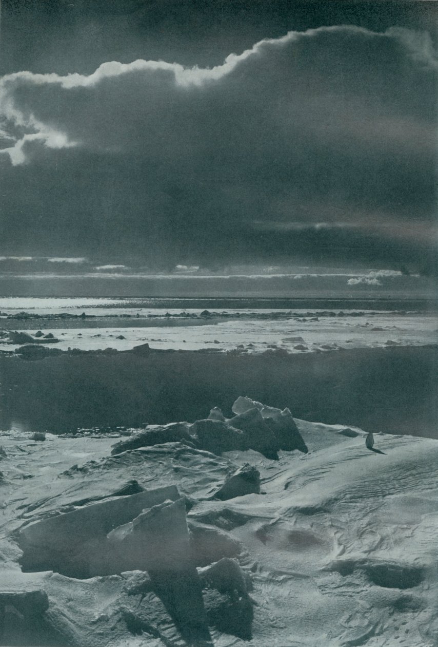 Večerní scéna ve smečce, c19101913, 1913 od Herbert Ponting