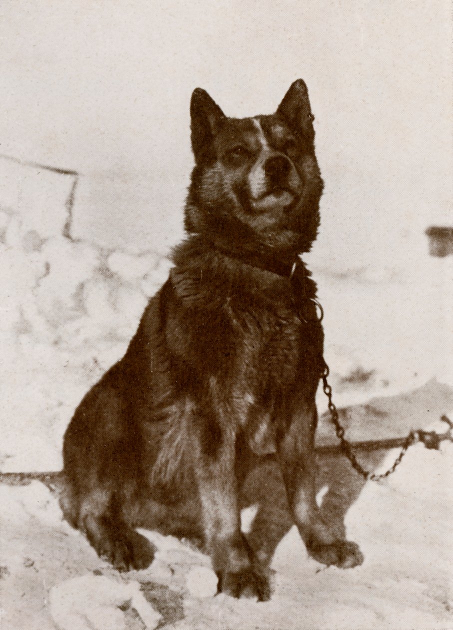 Krisravitsa, c19101913, 1913 od Herbert Ponting