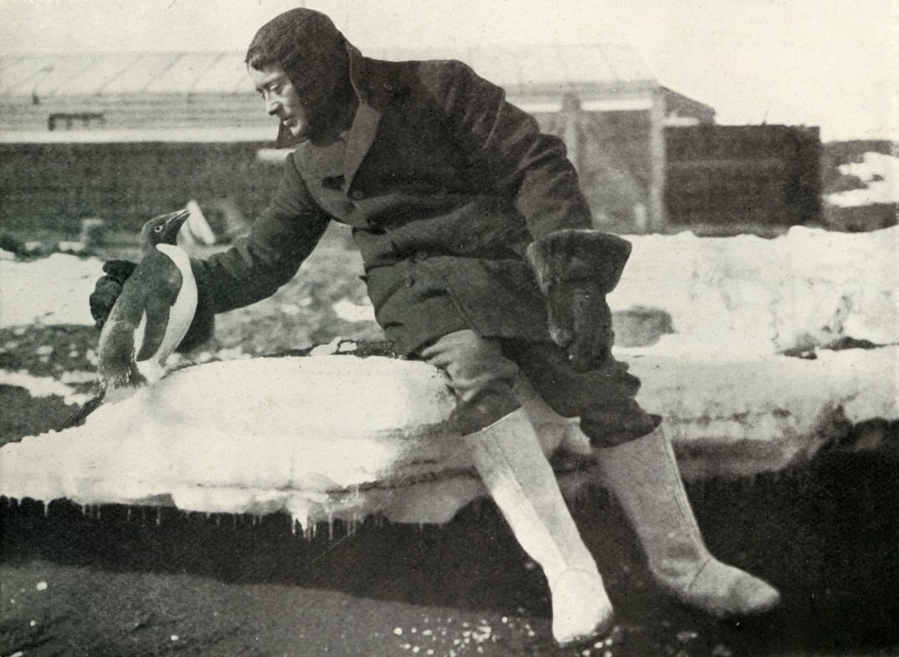 poručík Rennick a přátelský tučňák, 1911, 1913 od Herbert Ponting