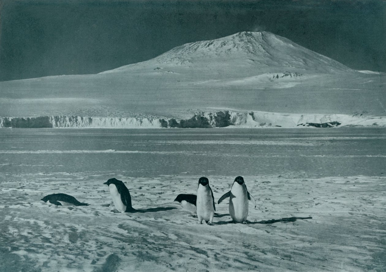 Mount Erebus, c1911, 1913 od Herbert Ponting