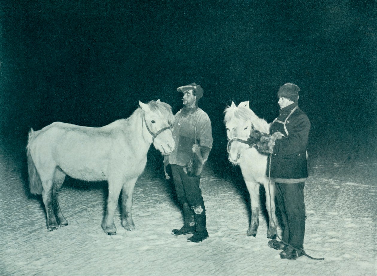 Poddůstojníci Crean a Evans cvičí své poníky v zimě, 1911, 1913 od Herbert Ponting