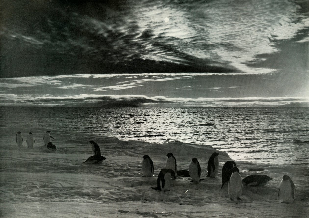 Půlnoční slunce v McMurdo Sound, c19101913, 1913 od Herbert Ponting