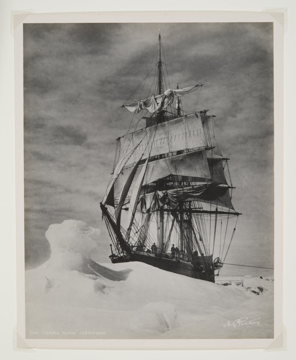 Terra Nova Icebound (bromový tisk) od Herbert Ponting