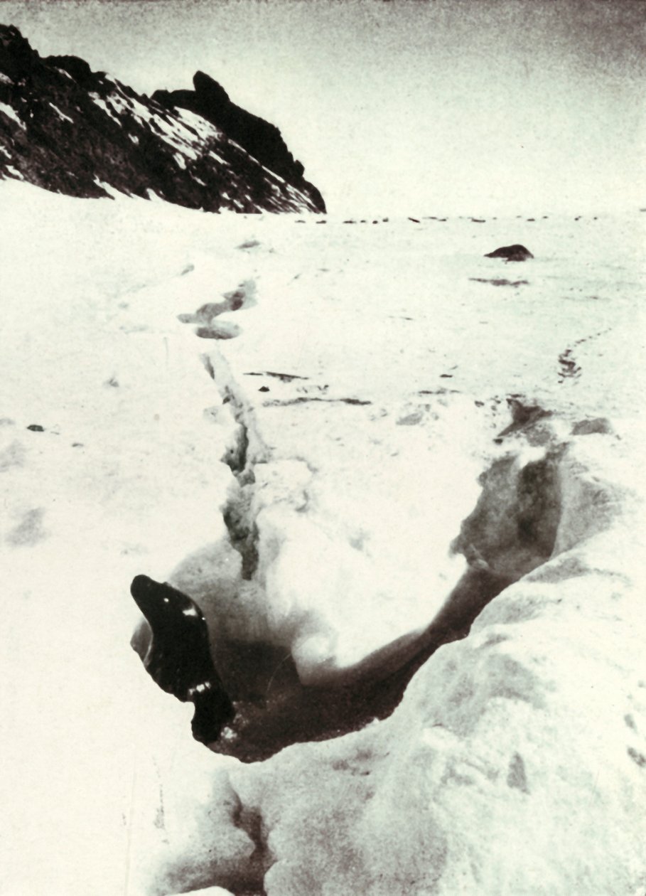 The Tide-Crack at Razorback Island, 1911, 1913 od Herbert Ponting