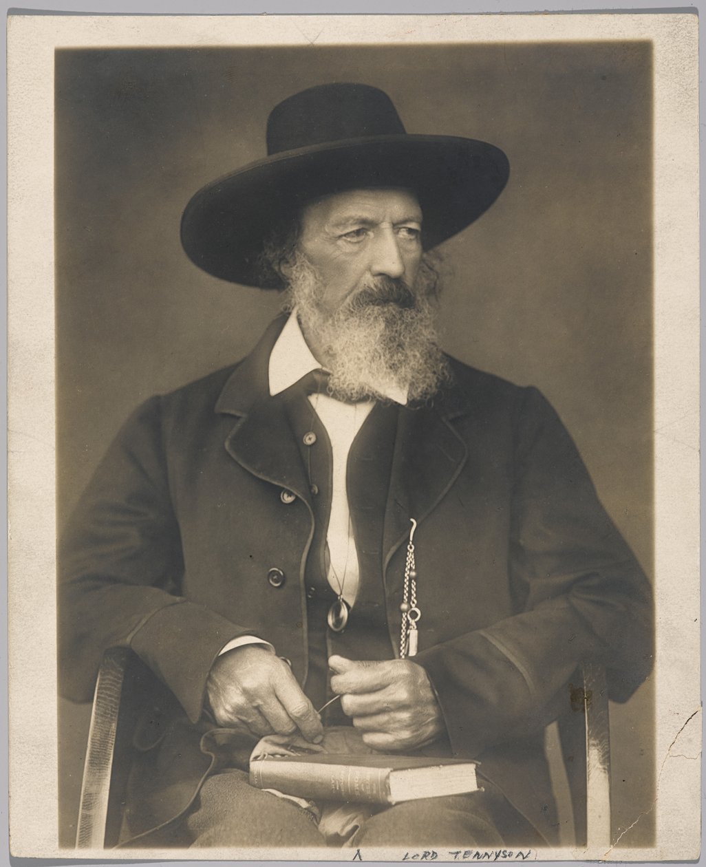 Lord Tennyson (želatinová stříbrná fotografie) od Herbert Rose Barraud