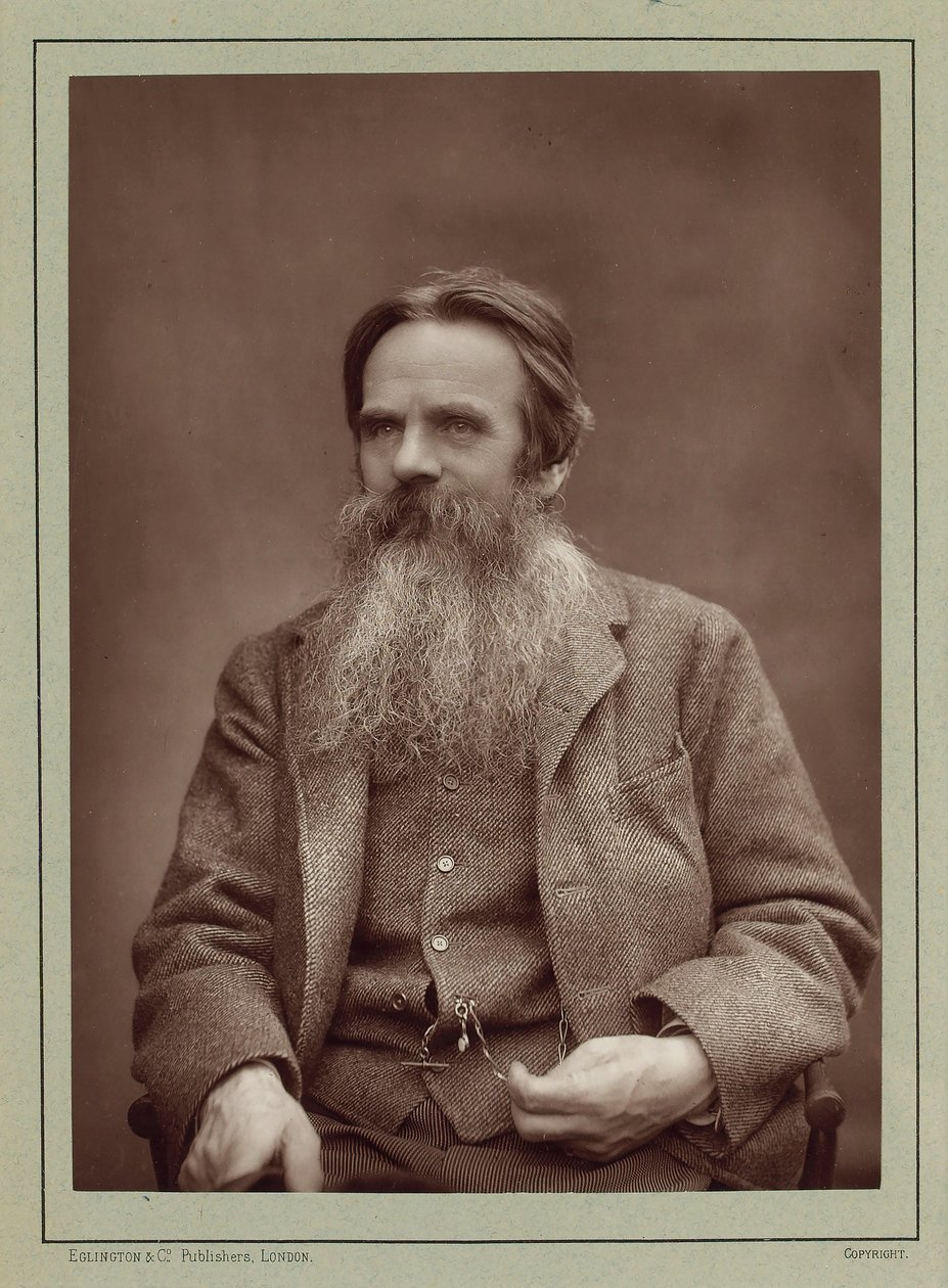 Portrét malíře Williama Holmana Hunta 1827-1910, cca 1885. od Herbert Rose Barraud