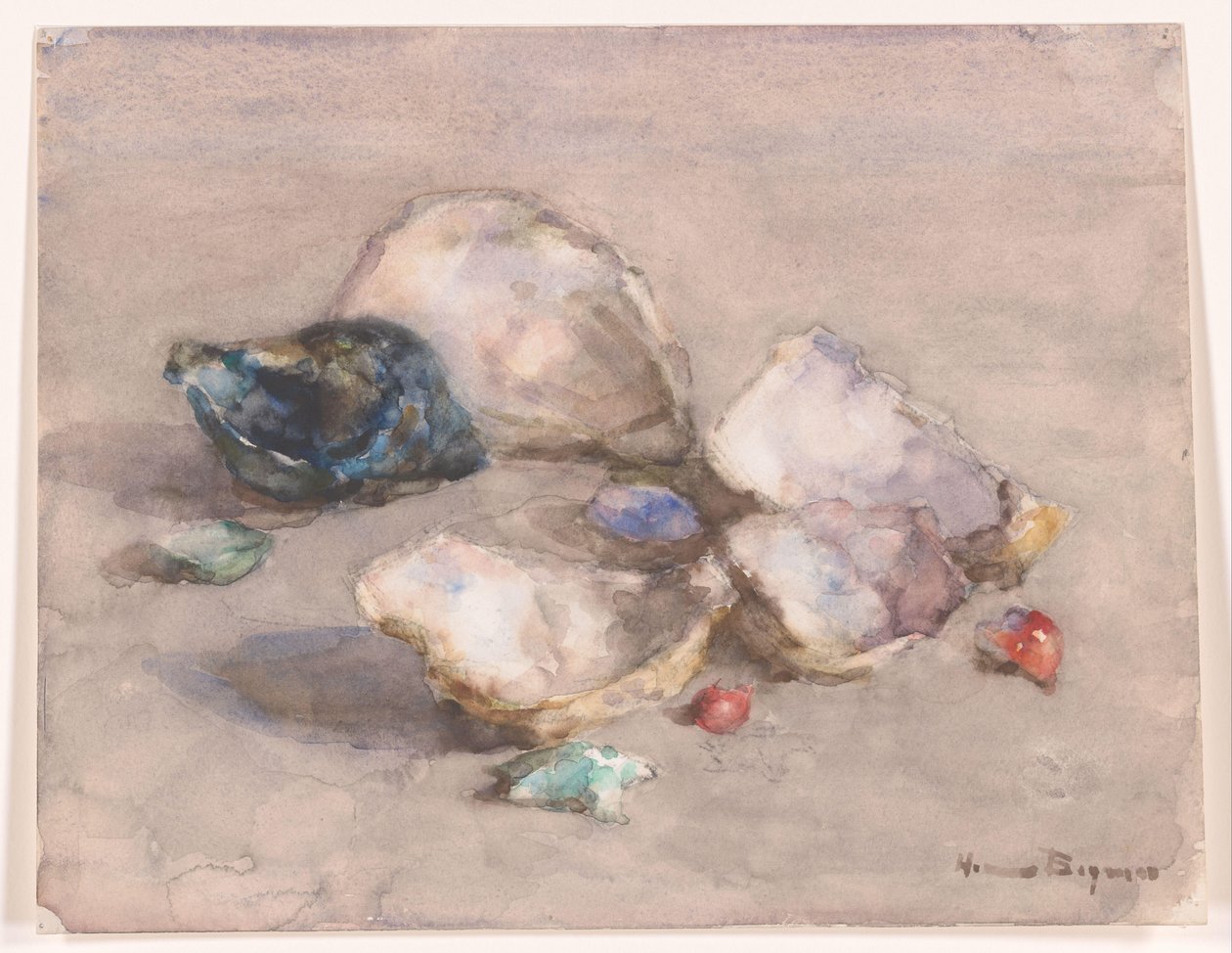 Mušle na pláži od Herman Bogman (signed by artist)