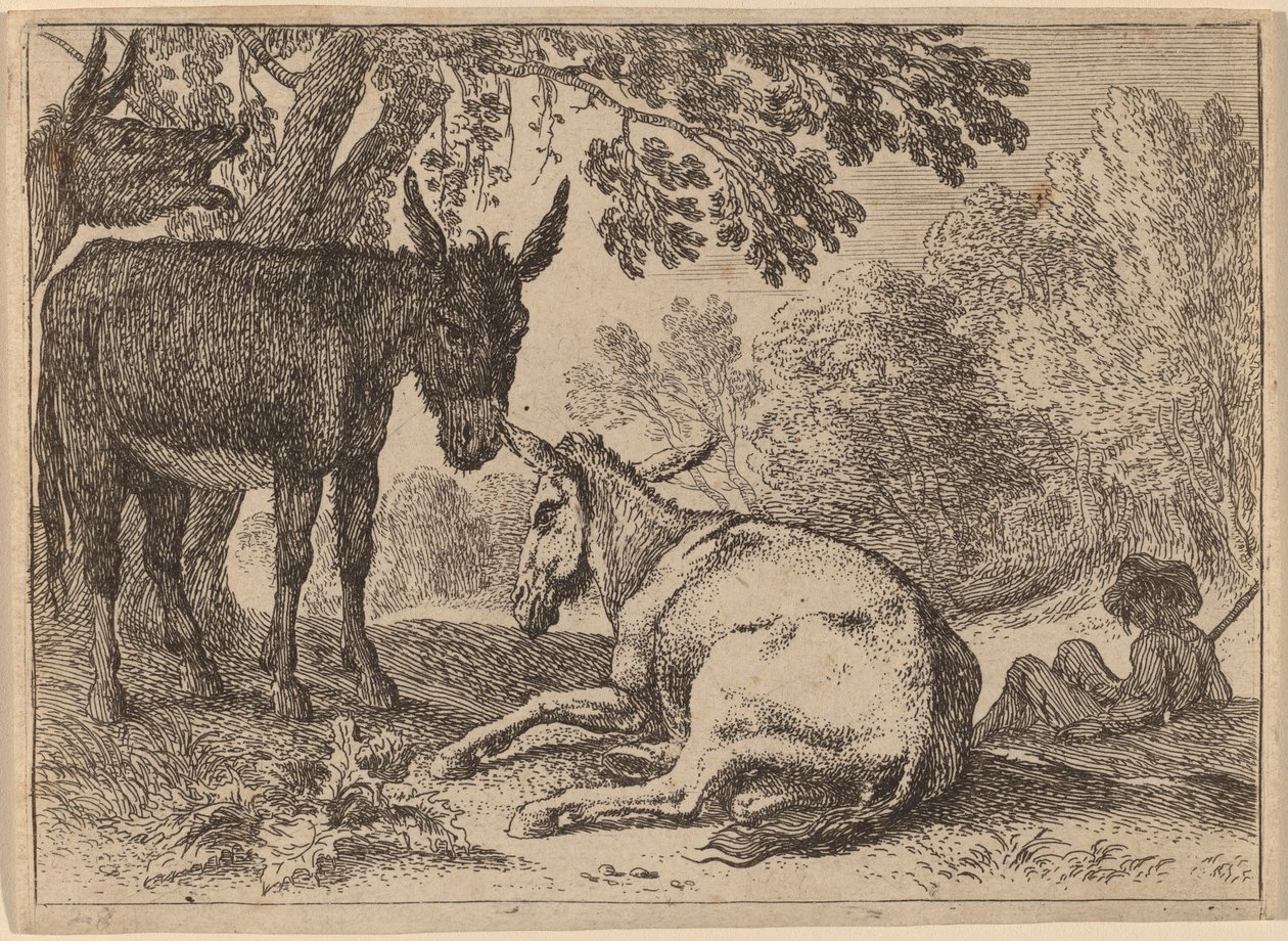 Osli od Herman van Swanevelt