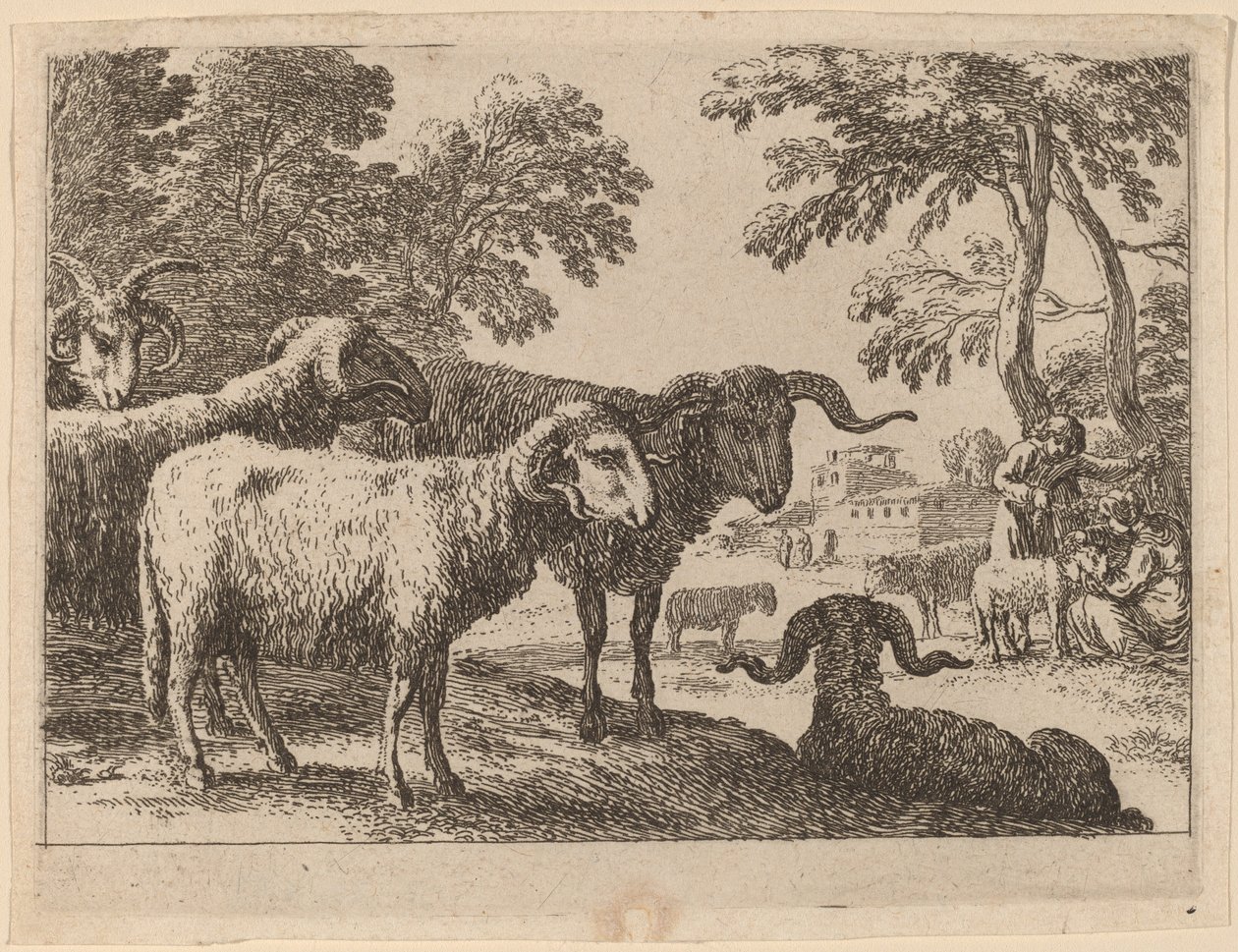 Berani od Herman van Swanevelt