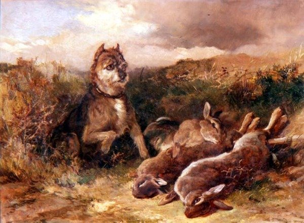West Country teriér se zvěří od Heywood Hardy