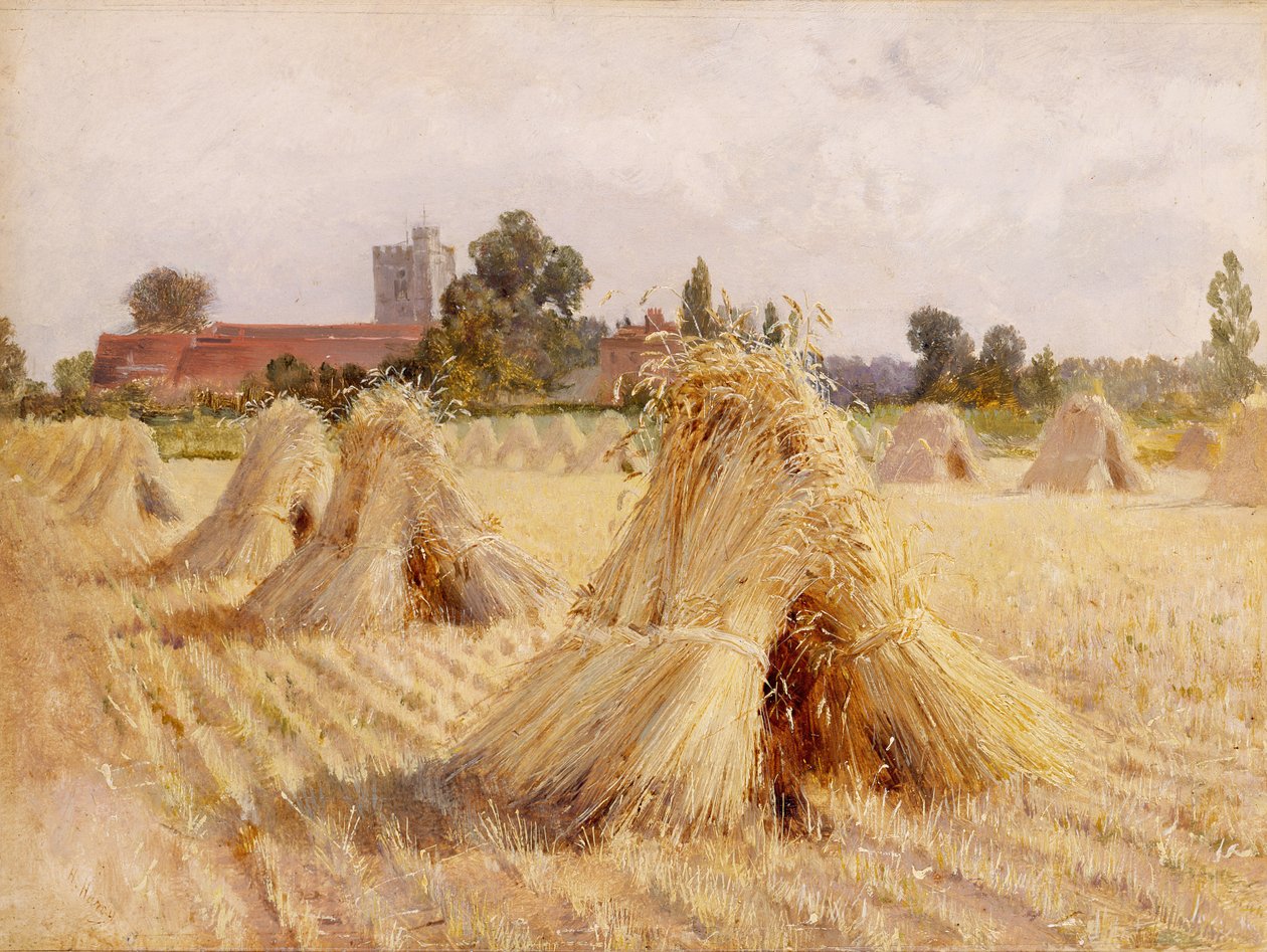 Corn Stooks od Bray Church, 1872 (olej na papíře položeném na palubě) od Heywood Hardy