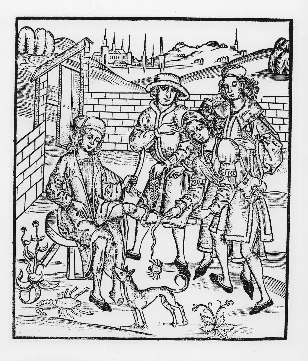 Tending a hadí kousnutí, z „Das Buch der Cirugia“, vydaného ve Štrasburku, 1497 od Hieronymus Brunschwig
