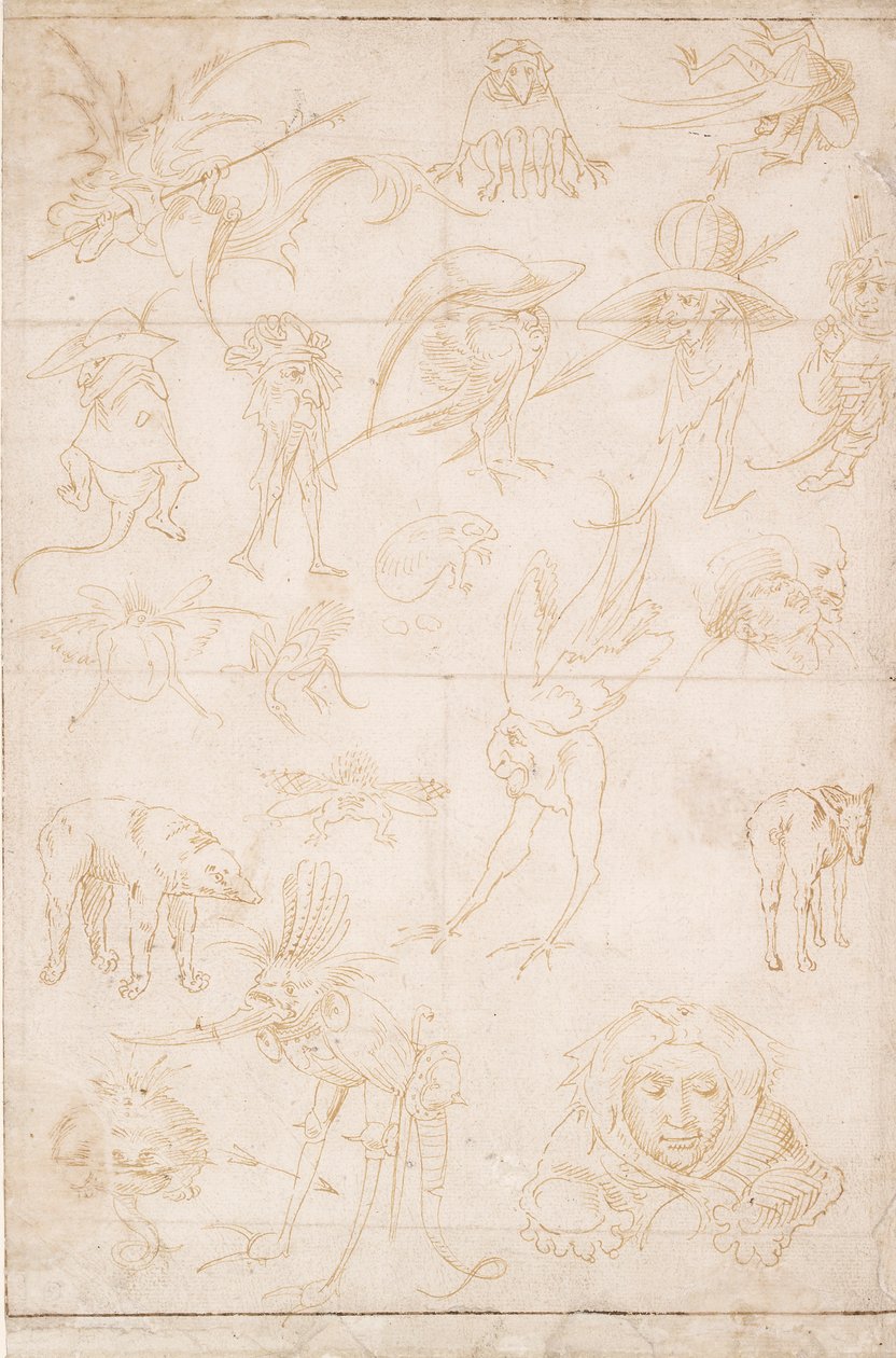 Groteskní studie, c1500-1520 od Hieronymus Bosch