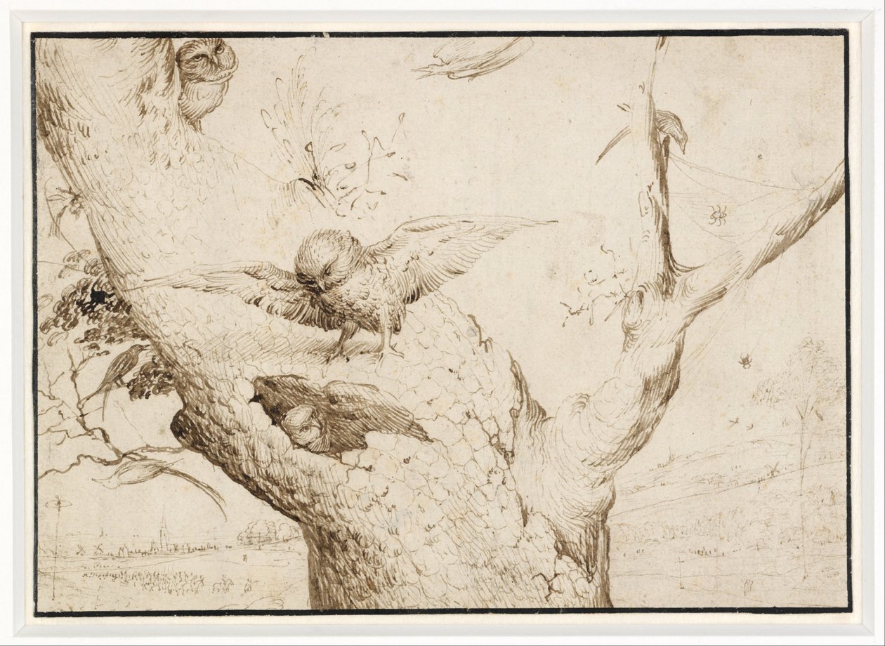 Soví hnízdo od Hieronymus Bosch