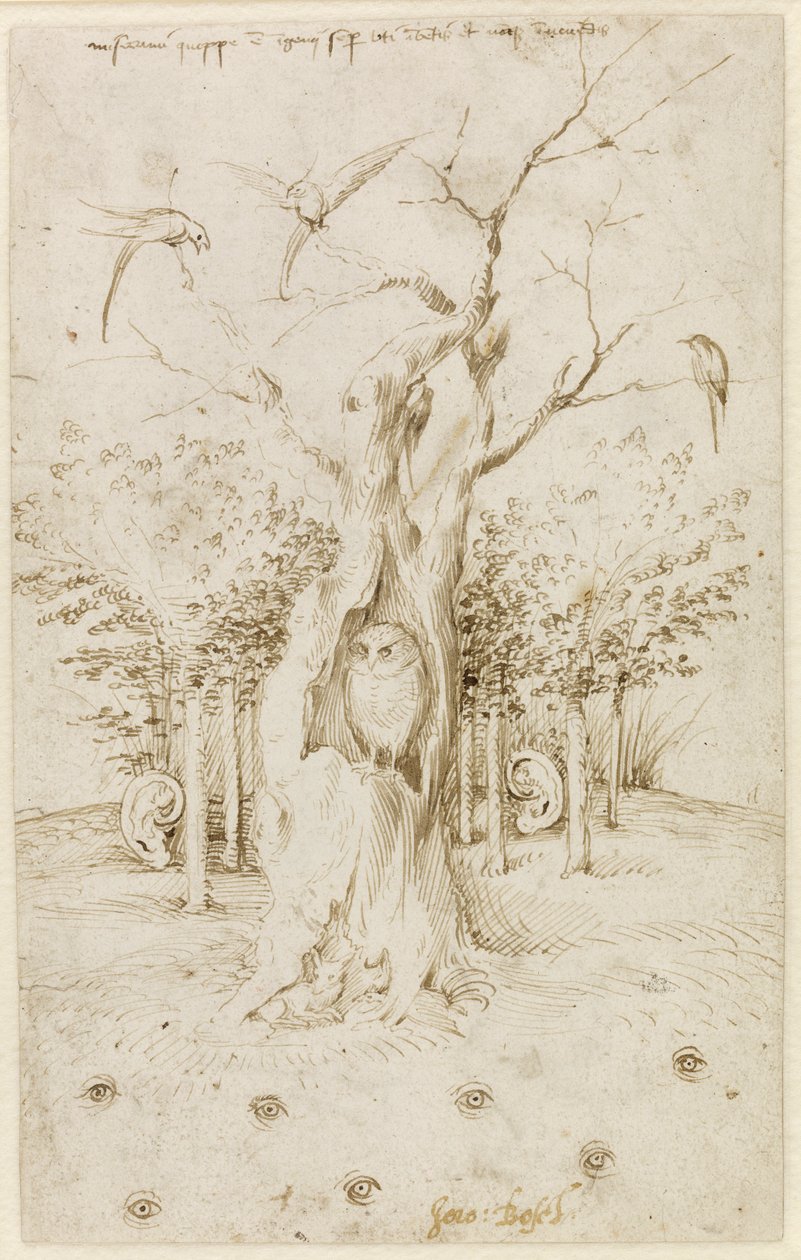 Dřevo má uši, pole má oči par Bosch, Hieronymus (asi 1450-1516). Pero, hnědá tuš na papíře, rozměr : 20,2x12,7, ca. 1500-1515, Staatliche Museen, Berlín od Hieronymus Bosch