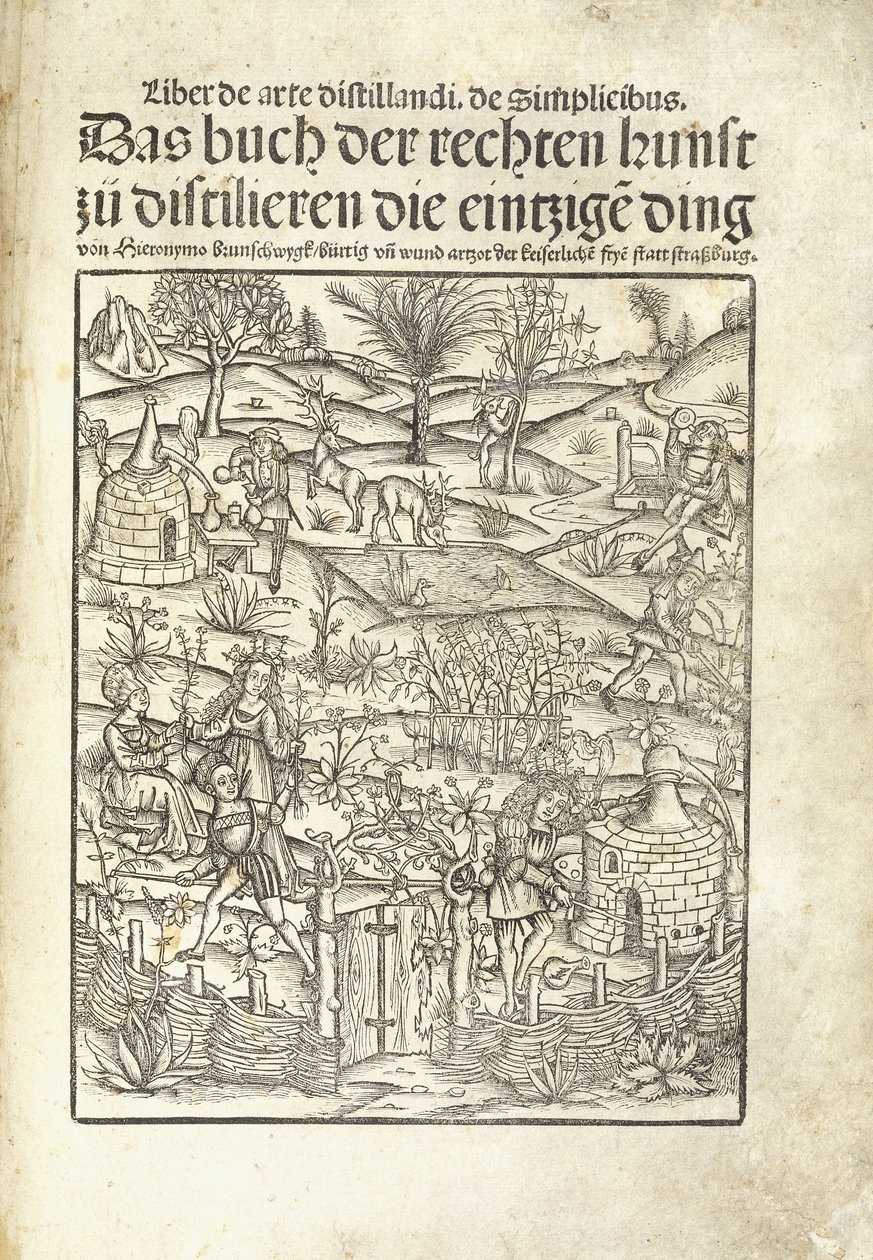 Titulní strana, ilustrující bylinné lihovary s postavami v krajině od Hieronymus Brunschwig