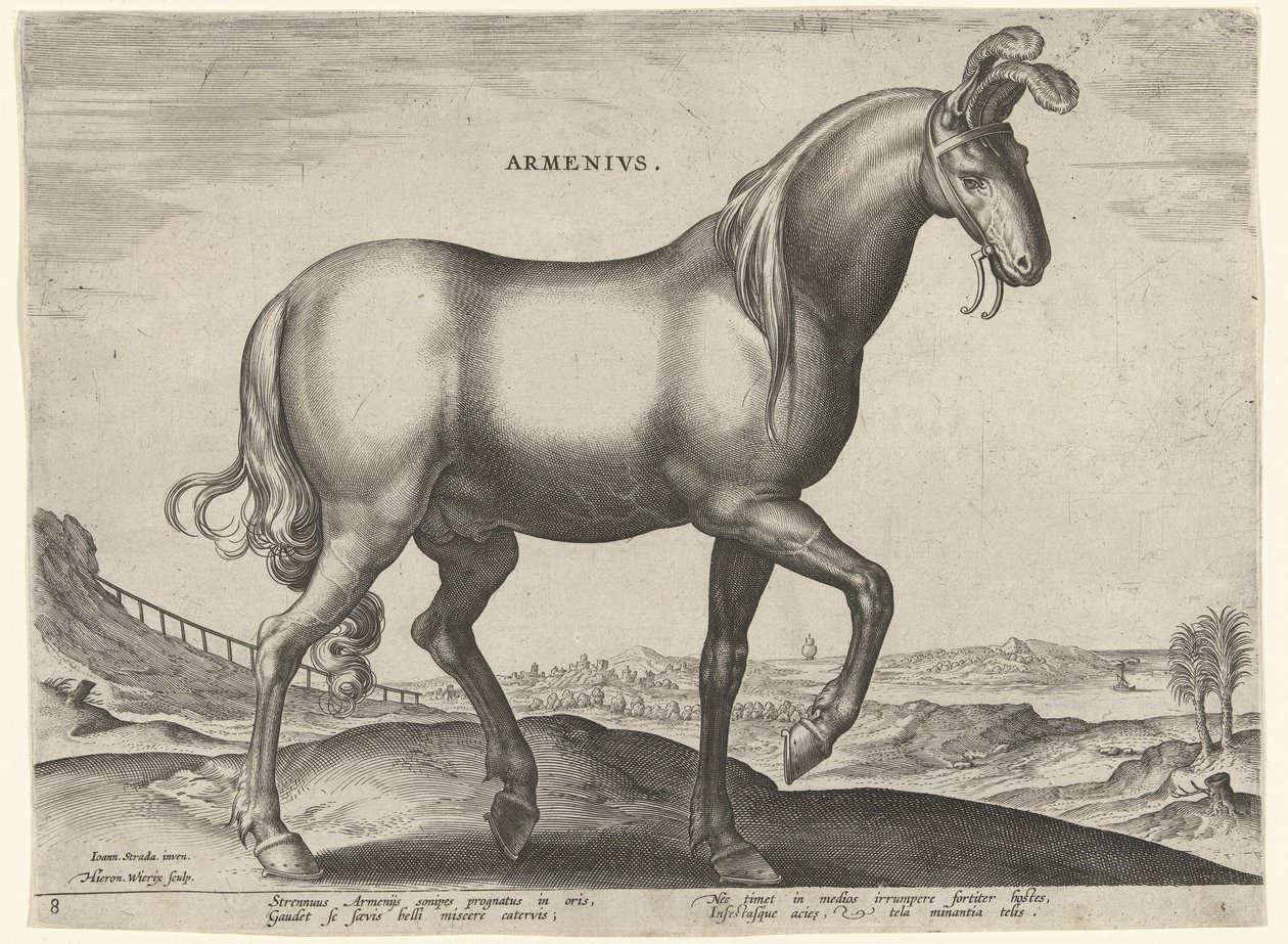 Kůň z Arménie (Armenius) Arméni (titul na předmětu) Plemena koní z královské stáje Dona Juana z Rakouska (název seriálu) Equile Ioannis Austriaci Caroli (název série) od Hieronymus Wierix