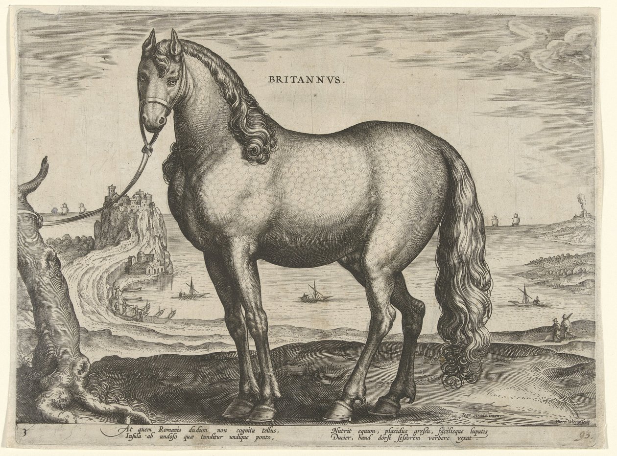 Kůň z Bretaně (Brittanus) Britannvs (název na objektu) Plemena koní z královské stáje Dona Juana z Rakouska (název seriálu) Equile Ioannis Austriaci Caroli (název série) od Hieronymus Wierix