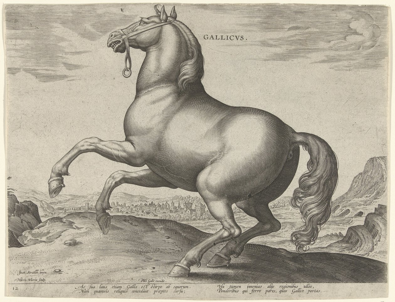 Kůň z Francie (Gallicus) Gallicvs (název na objektu) Plemena koní z královské stáje Dona Juana z Rakouska (název seriálu) Equile Ioannis Austriaci Caroli (název série) od Hieronymus Wierix