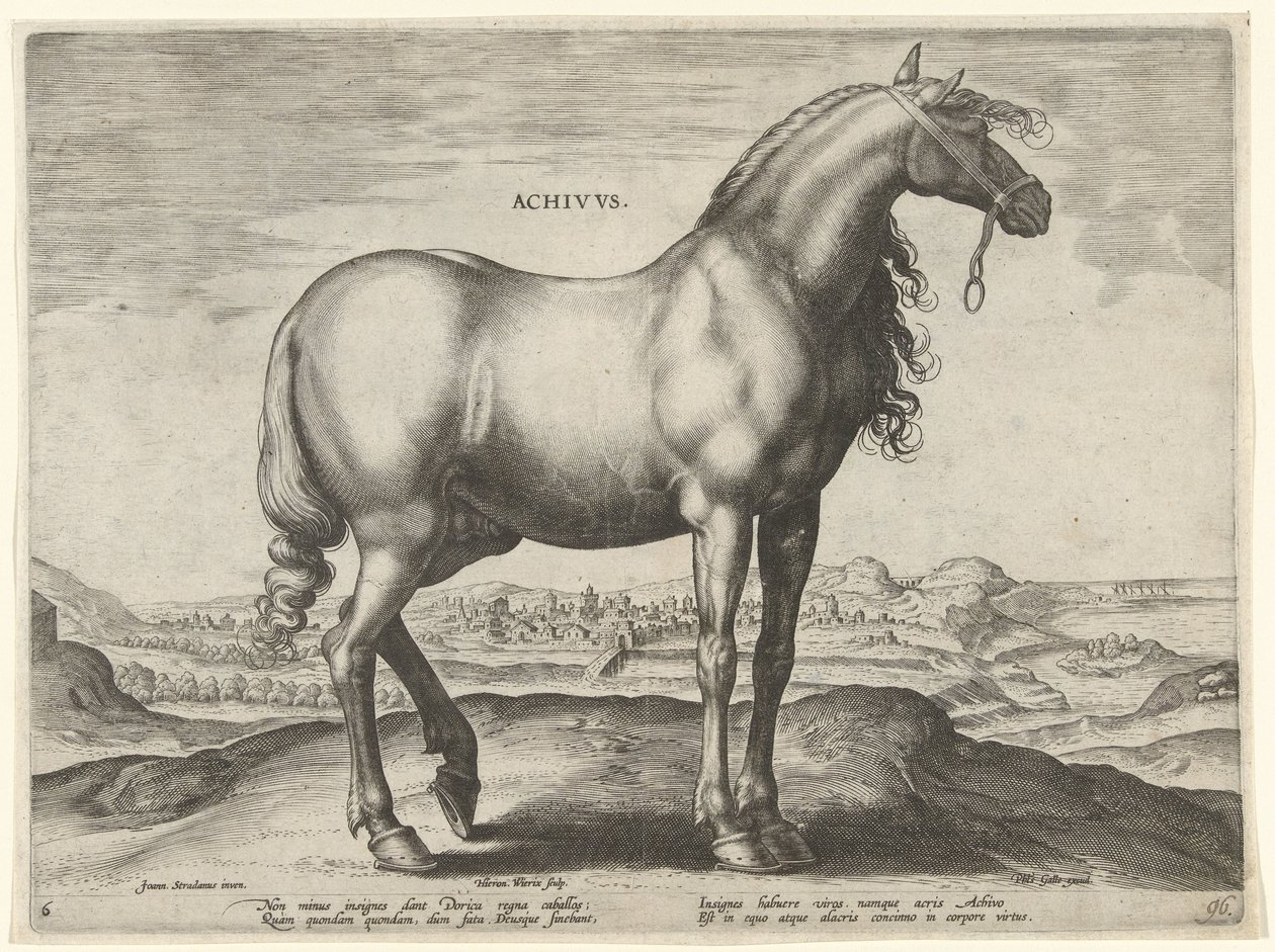 Kůň z Řecka (Achivus) Achivvs (název na objektu) Plemena koní z královské stáje Dona Juana z Rakouska (název seriálu) Equile Ioannis Austriaci Caroli (název série) od Hieronymus Wierix