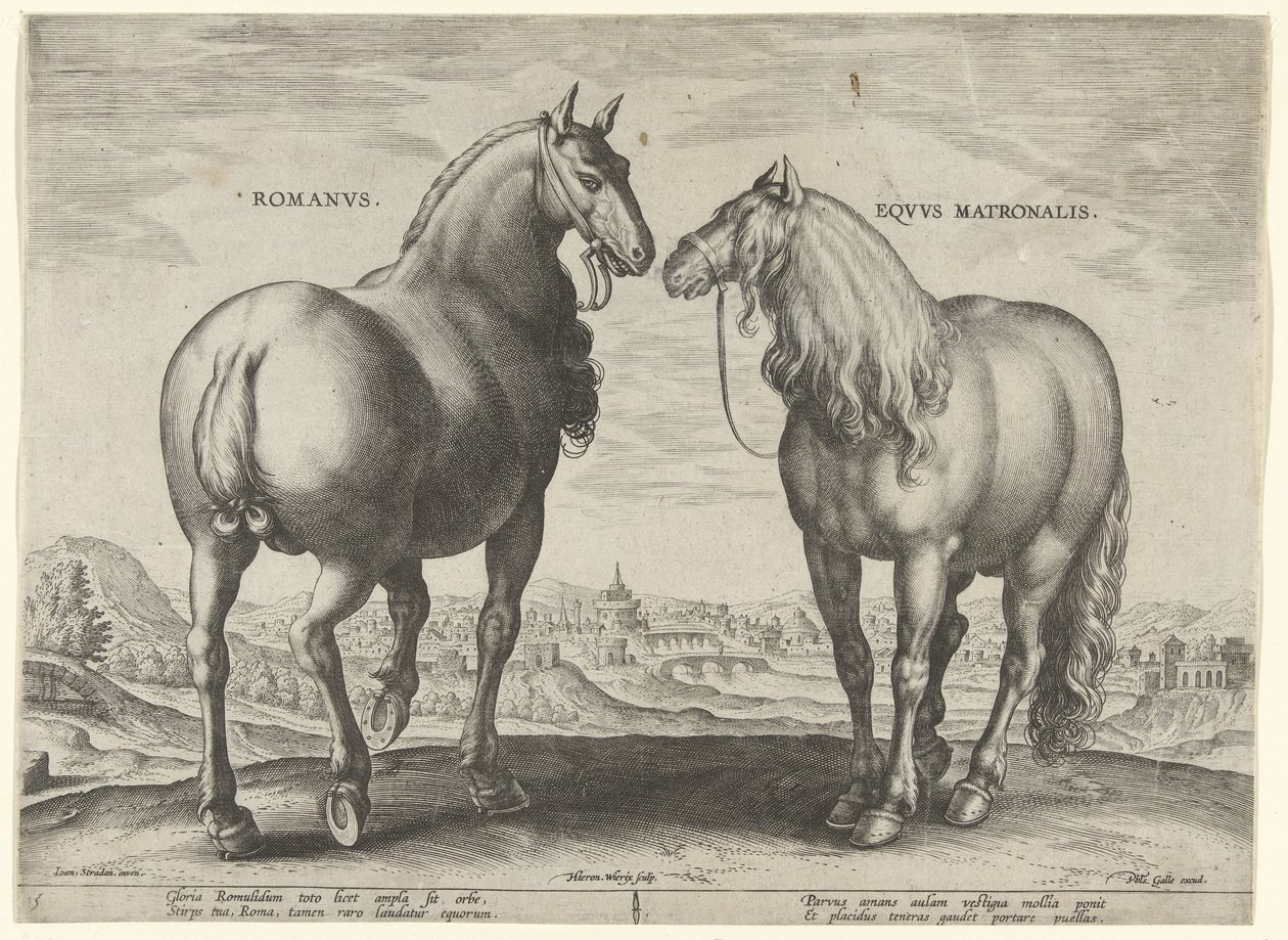 Kůň z Říma a náhradní klisna Romanvs Eqvvs Matronalis (název na objektu) Plemena koní z královské stáje Dona Juana z Rakouska (název seriálu) Equile Ioannis Austriaci Caroli (název série) od Hieronymus Wierix