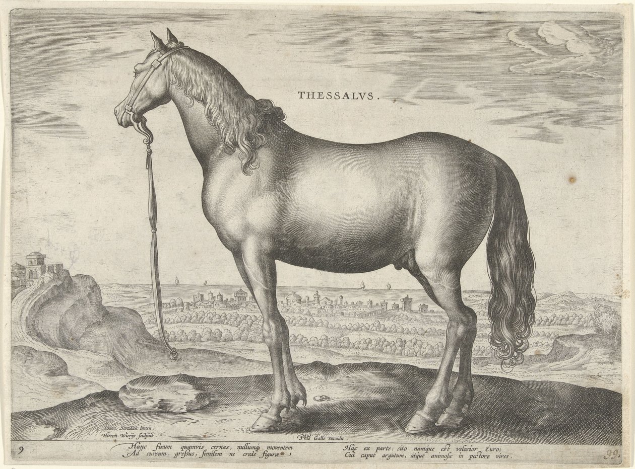 Kůň z Thesálie (Thessalus) Thesalvs (název na objektu) Plemena koní z královské stáje Dona Juana z Rakouska (název seriálu) Equile Ioannis Austriaci Caroli (název série) od Hieronymus Wierix