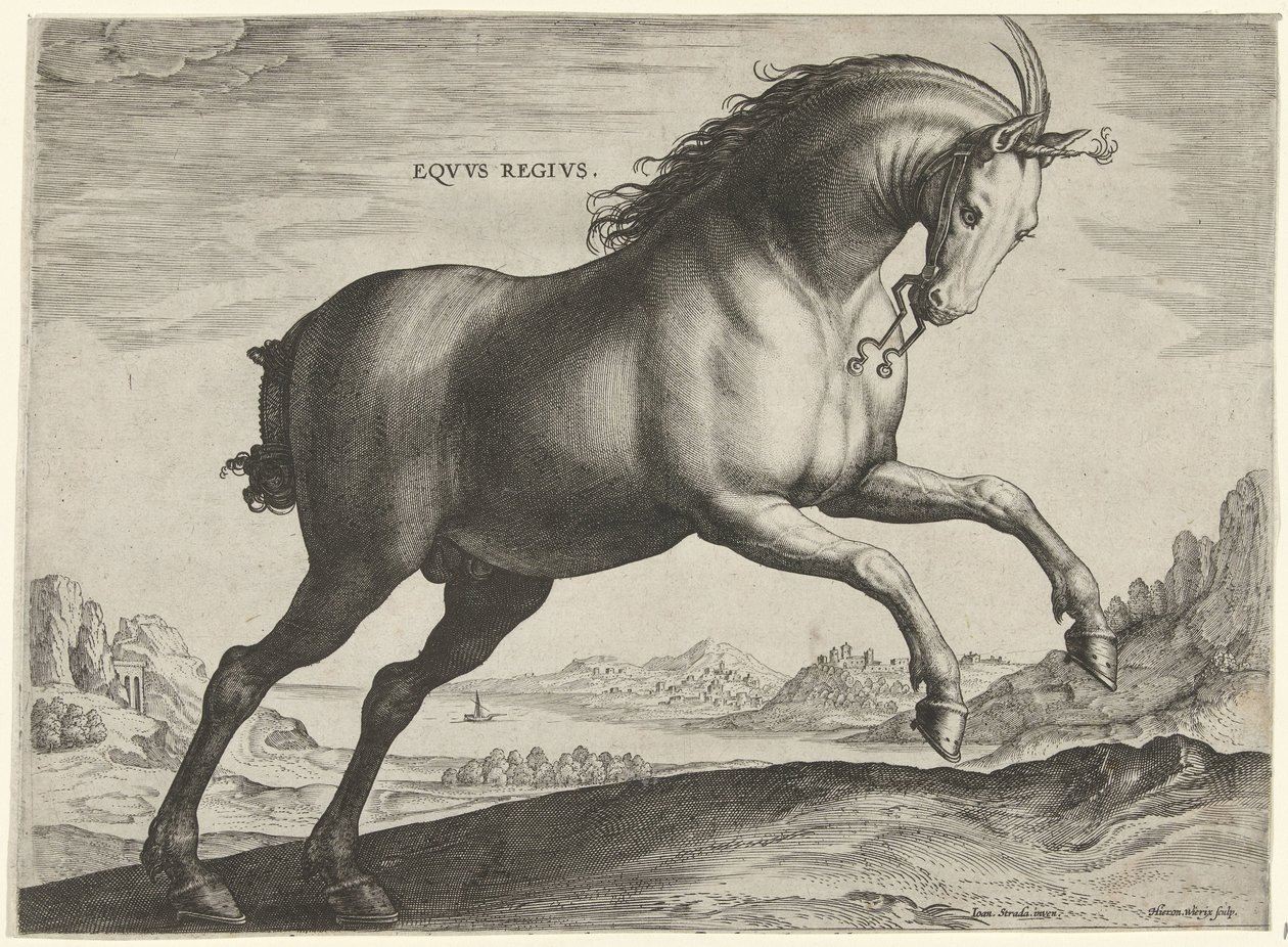 Kůň plemene Equus Regius (královský) Eqvvs Regivs (název na objektu) Plemena koní z královské stáje Dona Juana z Rakouska (název seriálu) Equile Ioannis Austriaci Caroli (název série) od Hieronymus Wierix