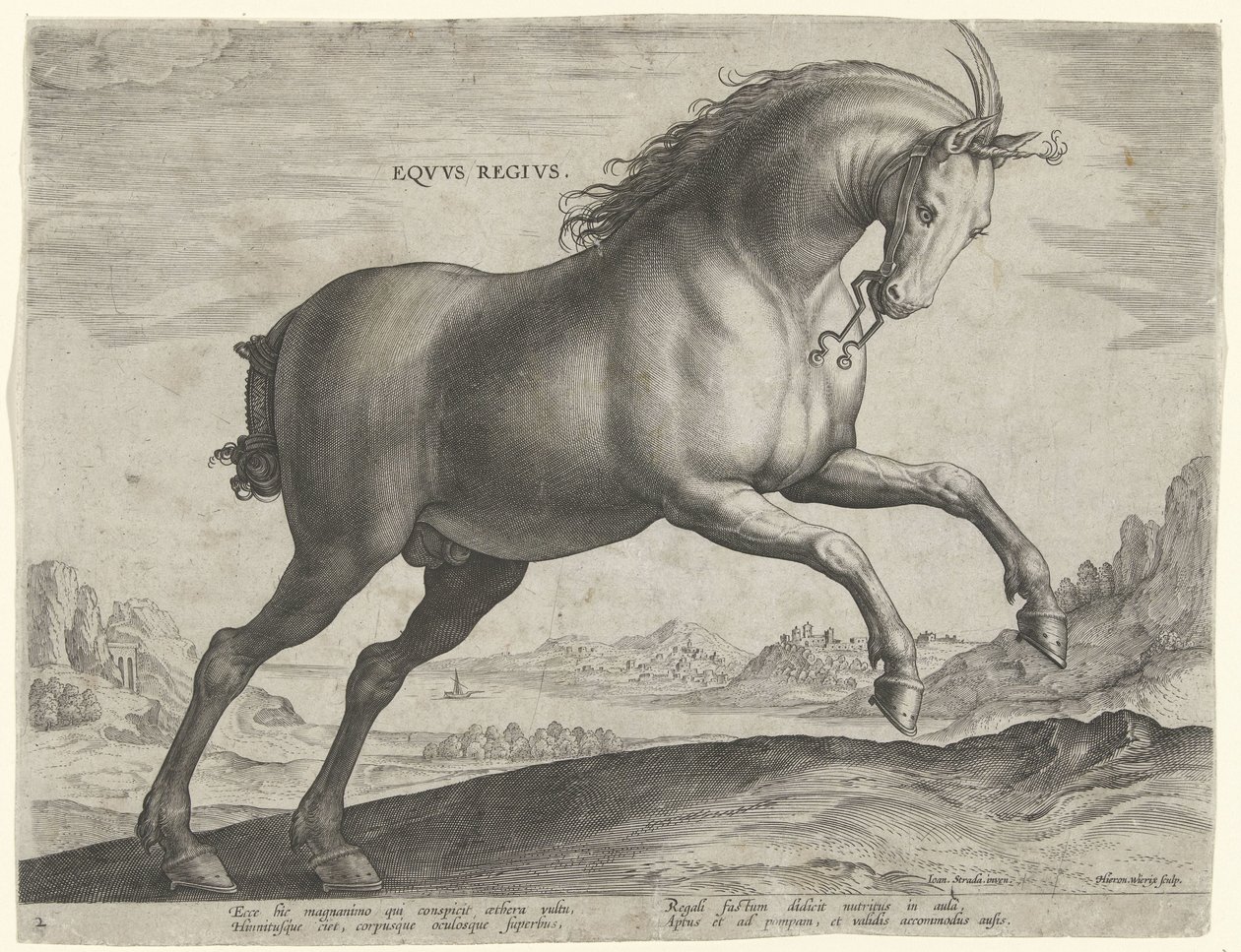 Kůň plemene Equus Regius (královský) Eqvvs Regivs (název na objektu) Plemena koní z královské stáje Dona Juana z Rakouska (název seriálu) Equile Ioannis Austriaci Caroli (název série) od Hieronymus Wierix