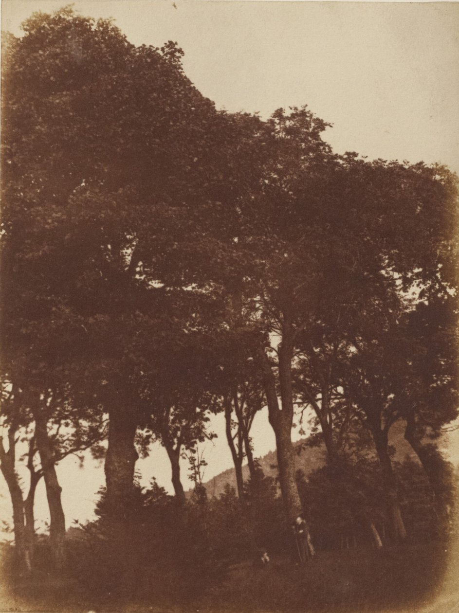 [Pole u Bonaly] od Hill and Adamson
