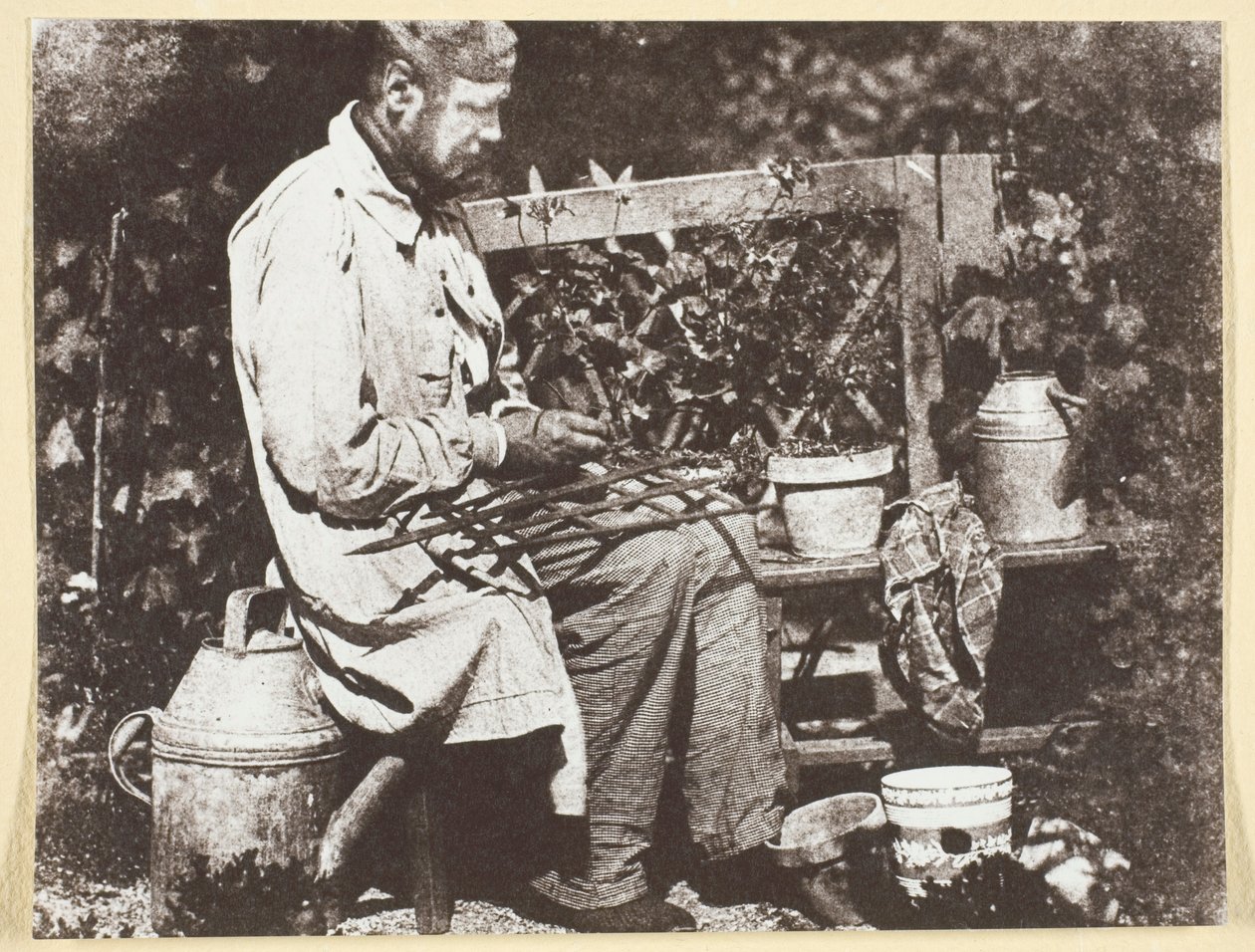 Bayard Jardinier od Hippolyte Bayard