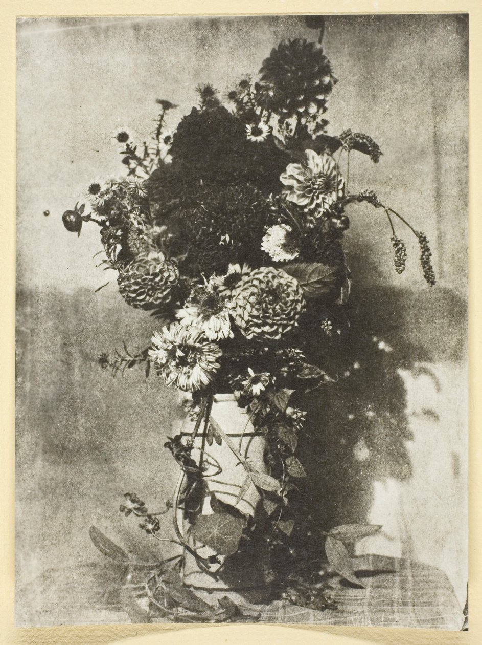 Kytice květin od Hippolyte Bayard