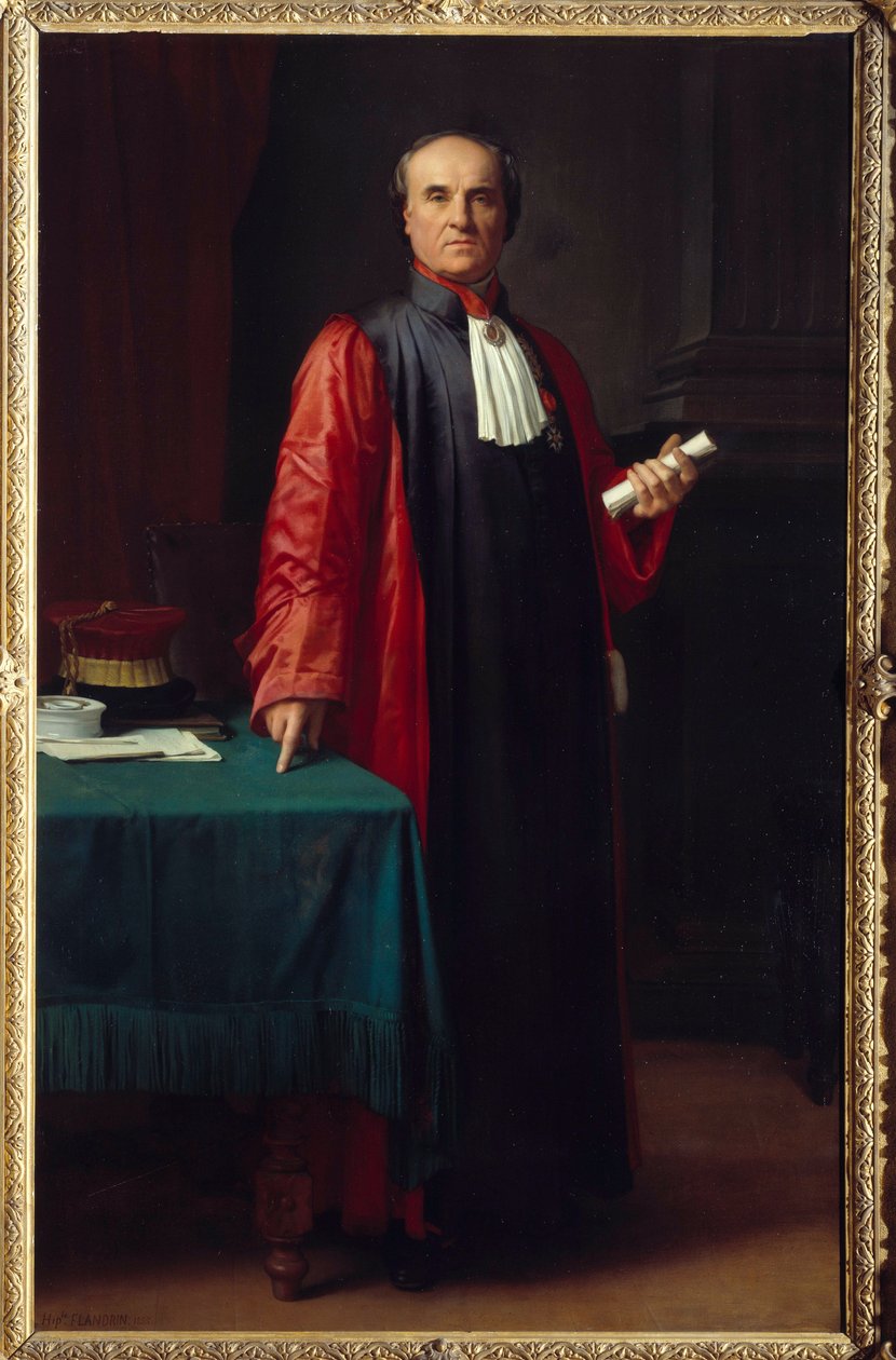 Portrét doktora Rostana (1790-1866) Malba od Hippolyta Flandrina (1809-1864) 19. století Aix en Provence, Musee Granet od Hippolyte Flandrin