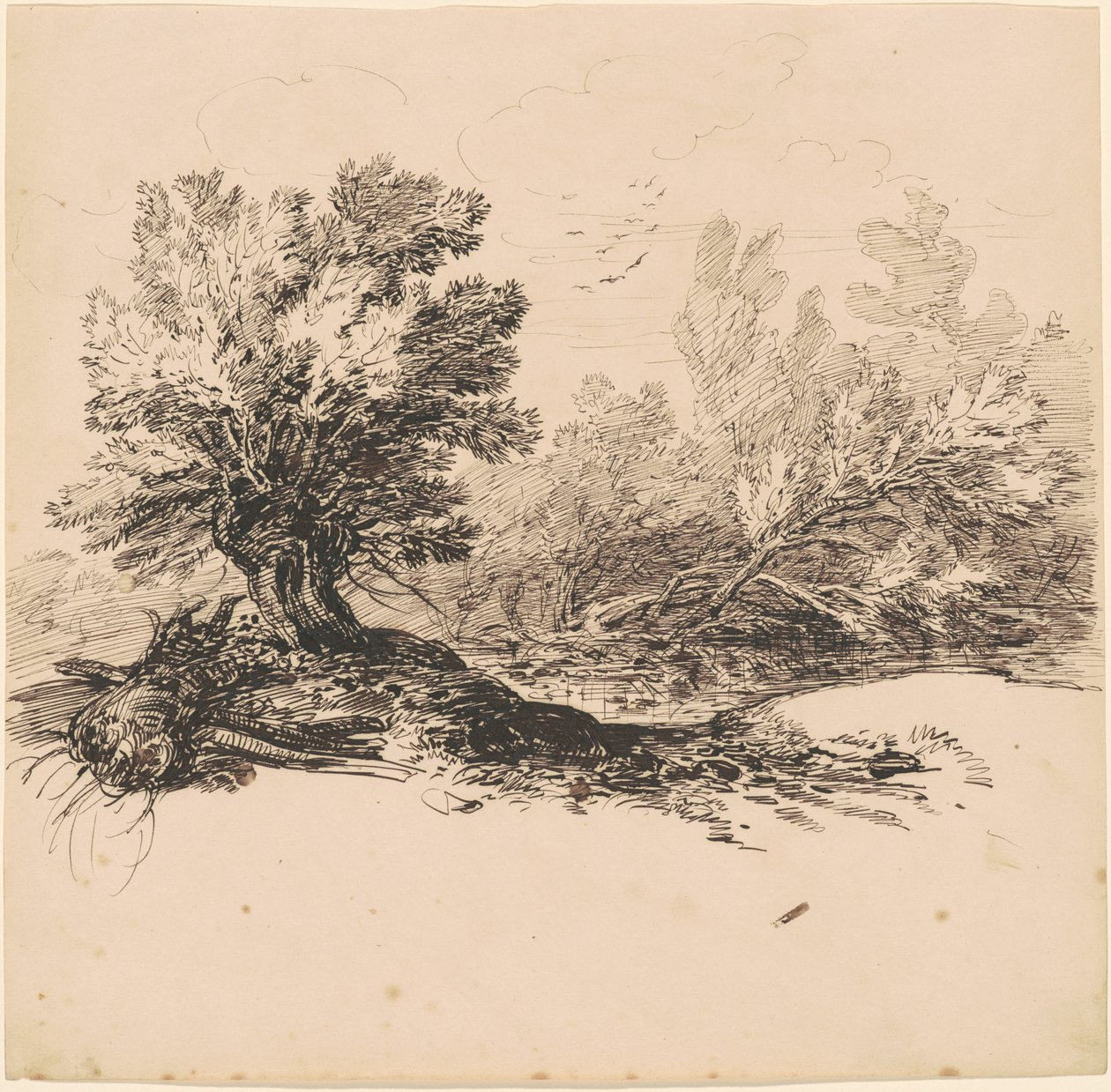 Pollard Willow u potoka od Hippolyte Lalaisse