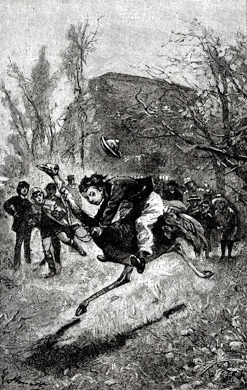 Mladý Servis jede na pštrosovi. Rytina od Hippolyte Leon Benett