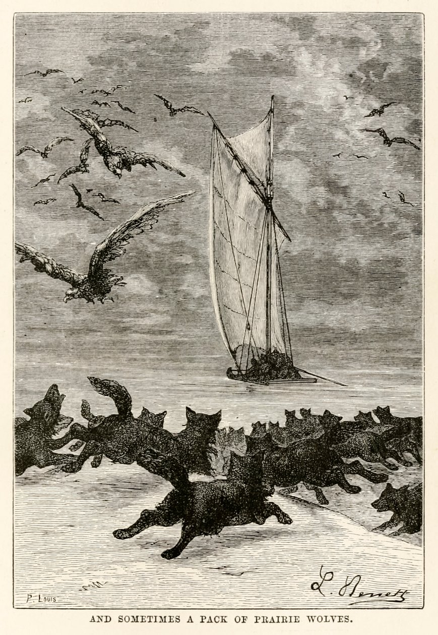 A někdy smečka prérijních vlků, z knihy Cesta kolem světa za osmdesát dní od Julese Verna (1828-1905) vyryla Louis, 1873 od Hippolyte Leon after Benett