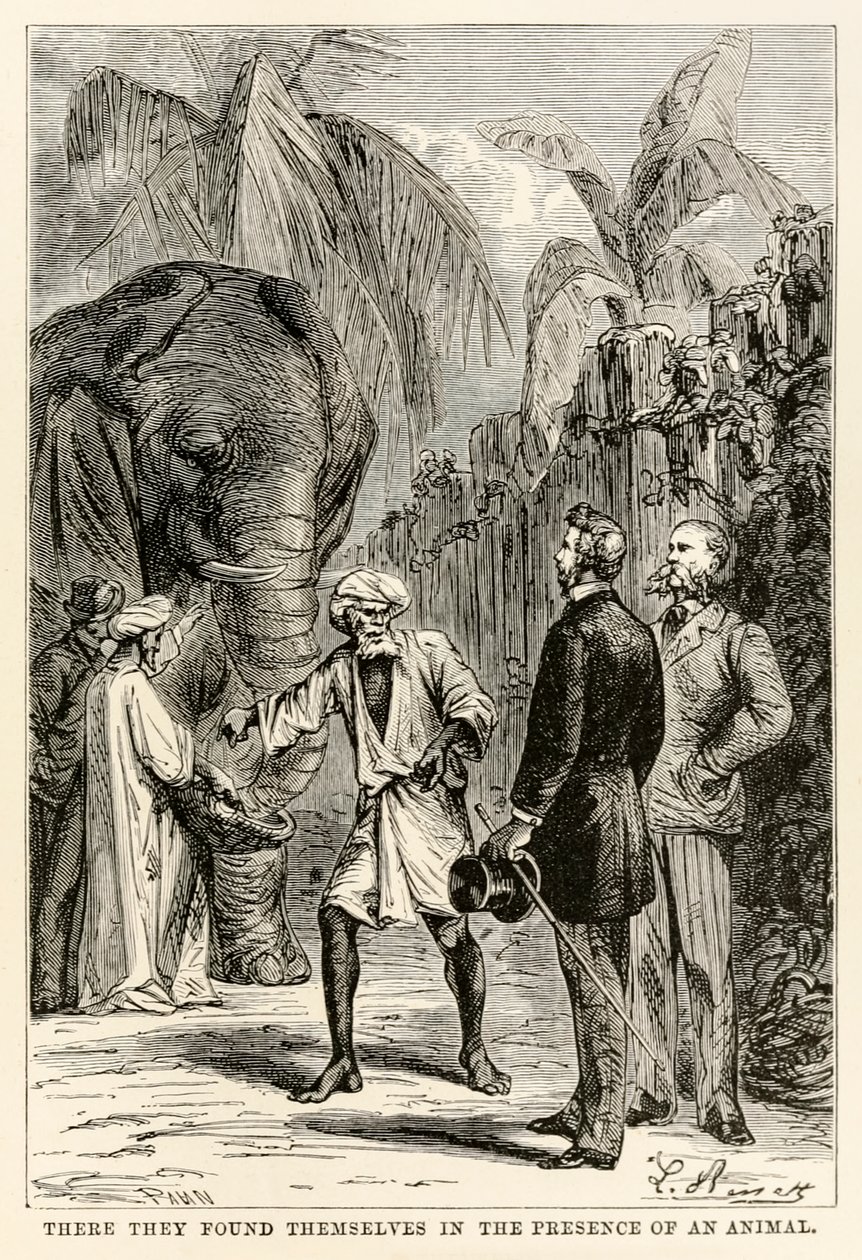 Tam se ocitli v přítomnosti zvířete, z knihy Cesta kolem světa za osmdesát dní od Julese Verna (1828-1905), vyryté Adolphem Françoisem Pannemakerem (1822-1900), 1873 od Hippolyte Leon after Benett