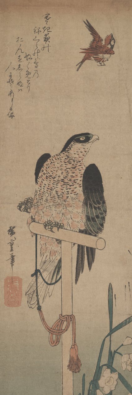 Sokol na okoun, vrabec a narcis od Hirokage Utagawa