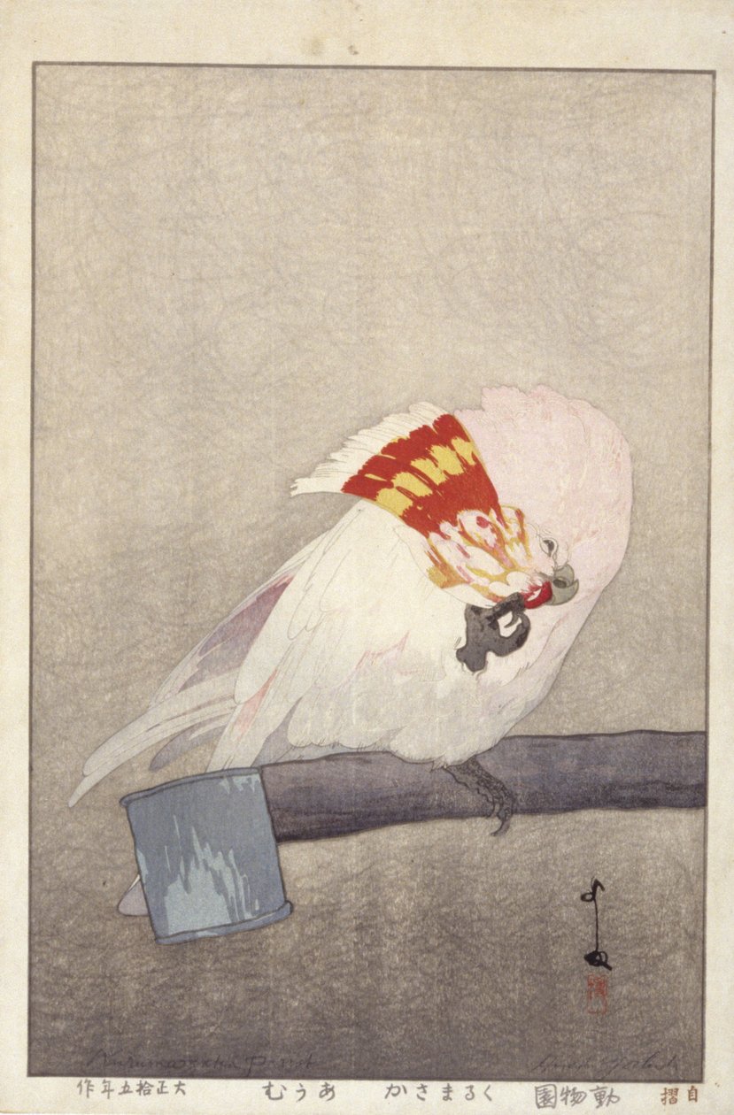 Kakadu na krmítku (barevný dřevěný tisk) od Hiroshi Yoshida