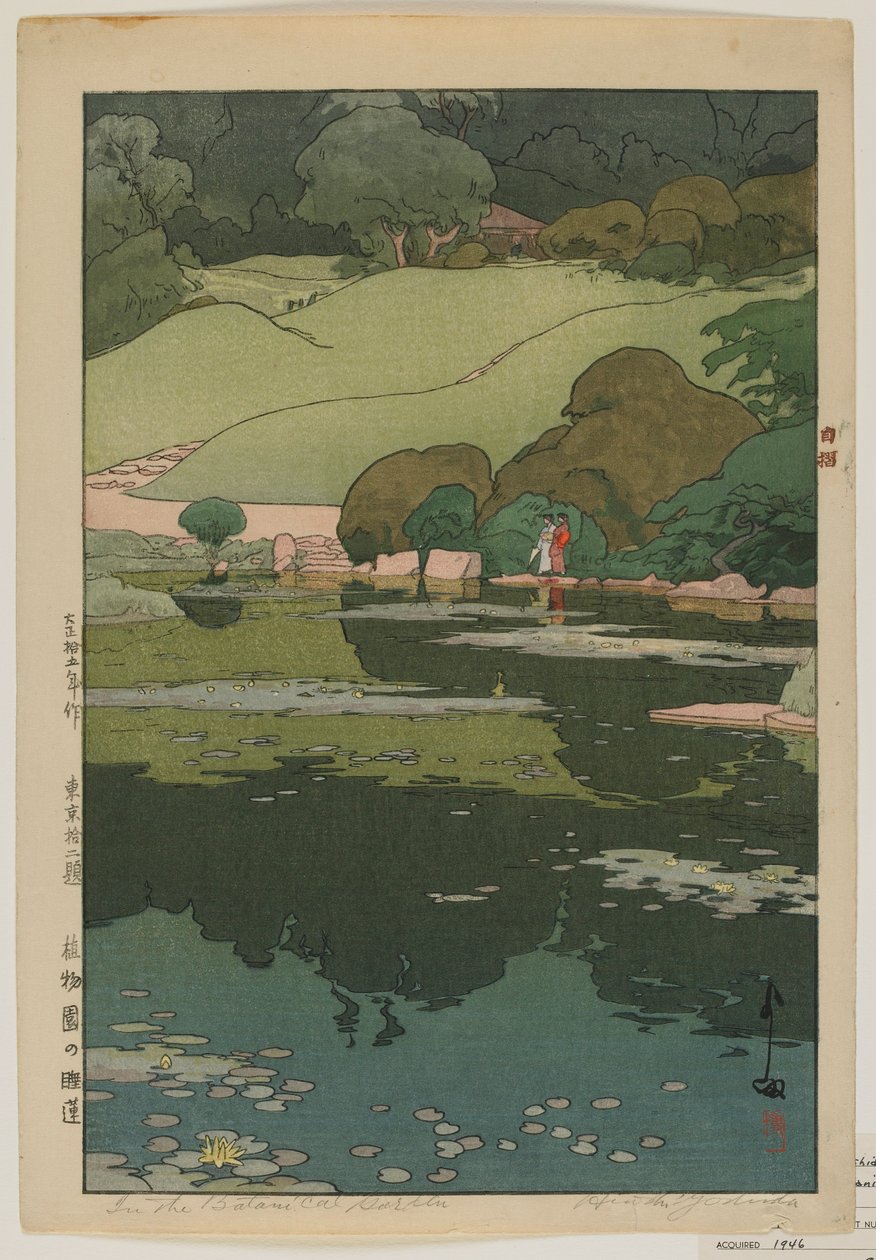 Lekníny v botanické zahradě, ze série, Dvanáct scén Tokia, éra Taisho od Hiroshi Yoshida