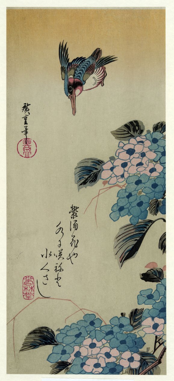 Hydrangea Kingfisher (Hyd sloupec GEA plán d zlato g rybář) od Utagawa Hiroshige