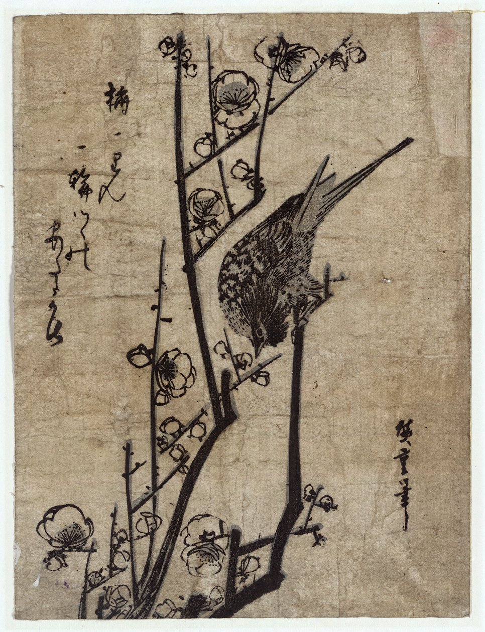 Ume ni Uguisu (švestka a Bush pěnice) od Utagawa Hiroshige