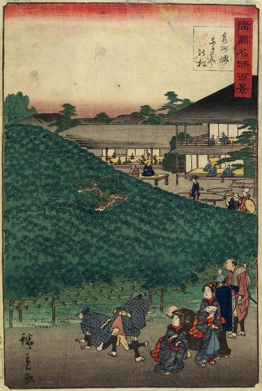 Pine Tree of Naniwaya v Sakai v provincii Senshu_, září 1859 od Hiroshige II