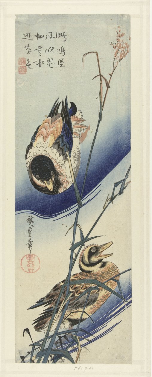 Kachny poblíž rákosí od Hiroshige (I) , Utagawa