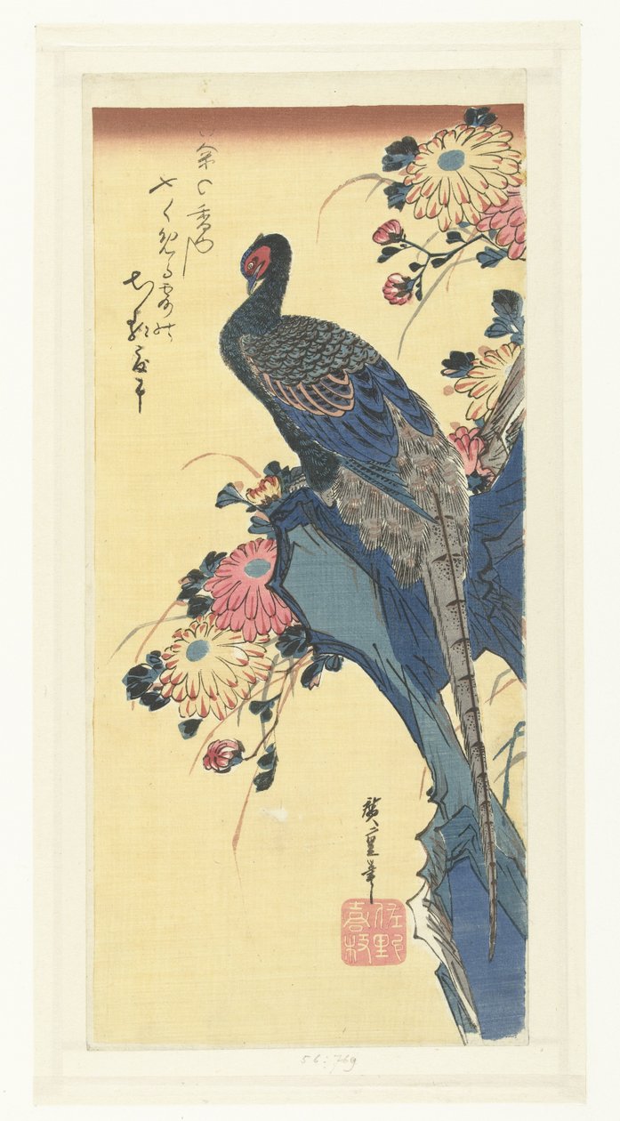 Bažant a chryzantémy od Hiroshige (I) , Utagawa