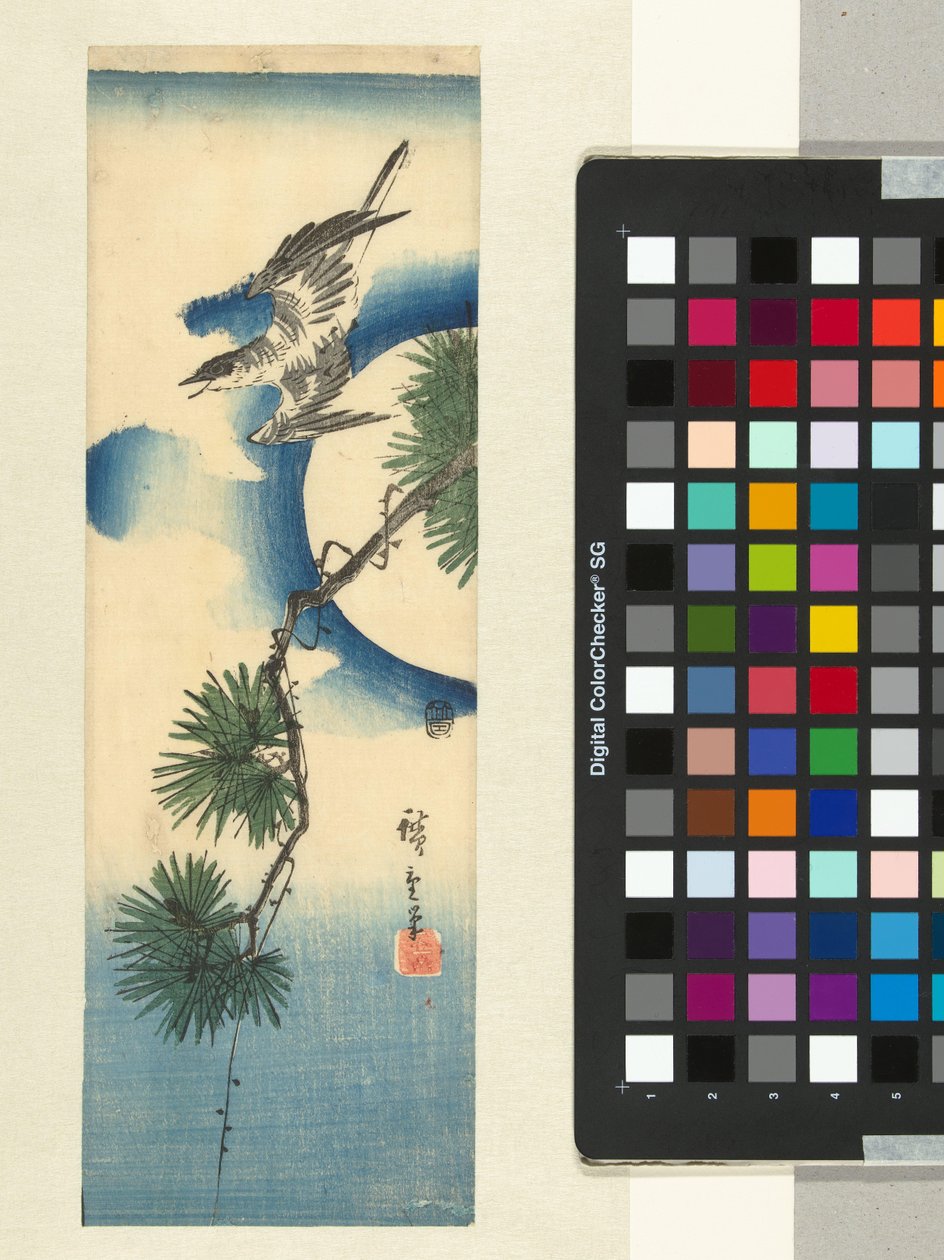 Kukačka na větev borovice a úplněk od Hiroshige (I) , Utagawa