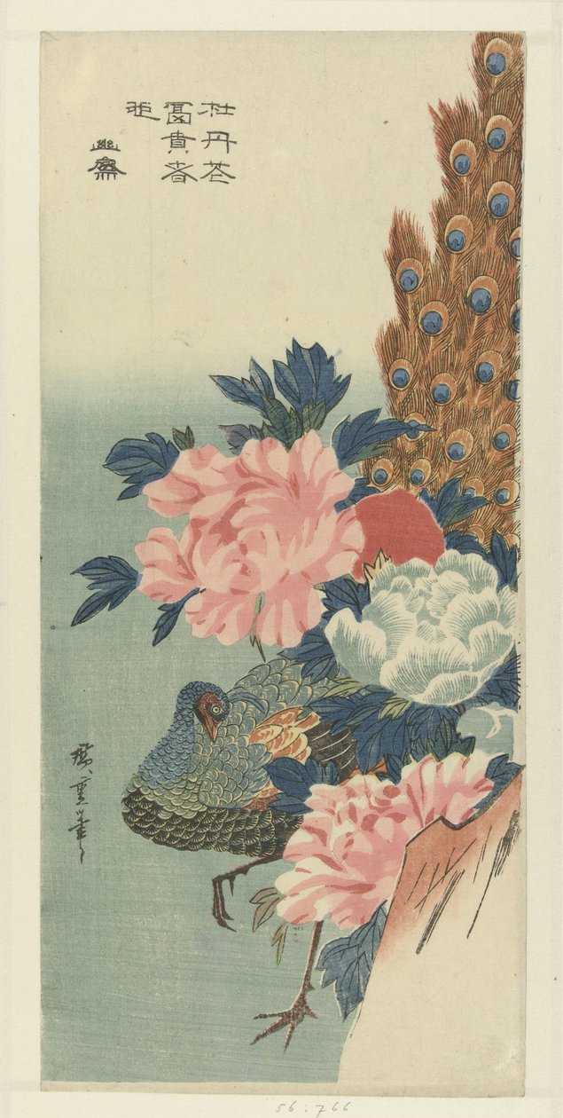 Páv a pivoňky od Hiroshige (I) , Utagawa